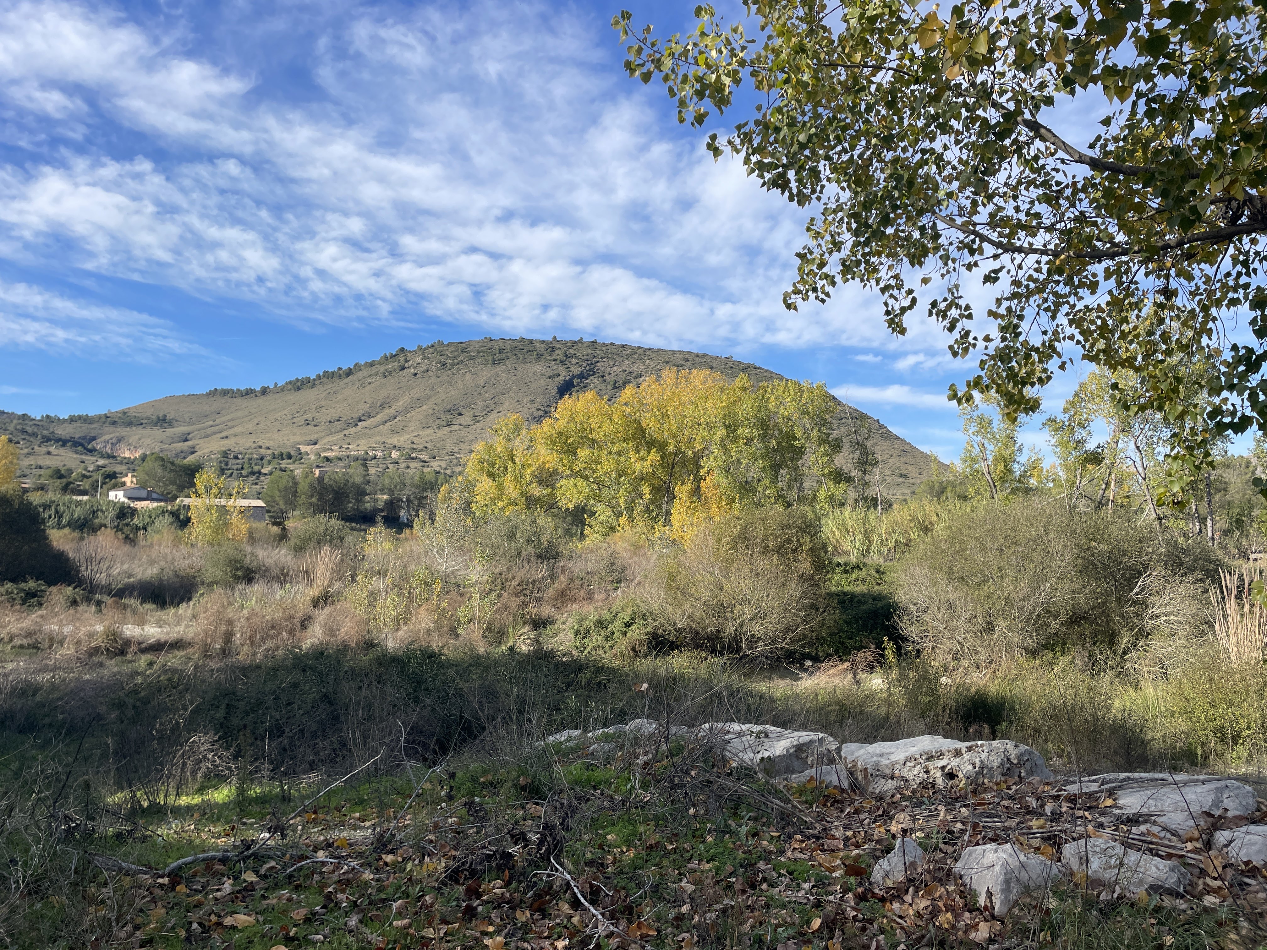XG28+3C Bellús, Spain / 22-11-2025 14:50 / 13.66 °C en zeer lichte bewolking / 120 m