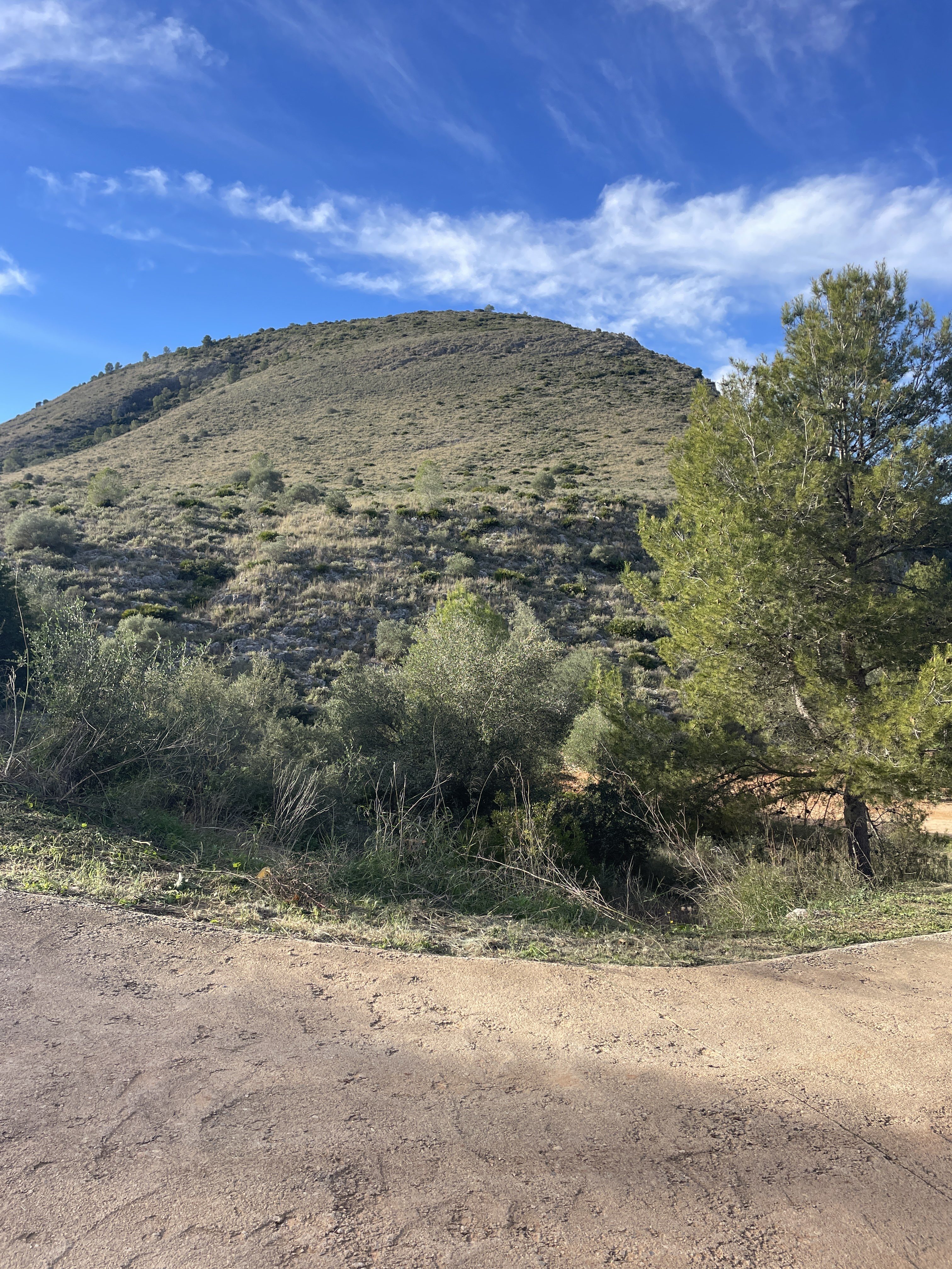 XG47+7H Bellús, Spain / 22-11-2025 15:11 / 13.67 °C en zeer lichte bewolking / 127 m