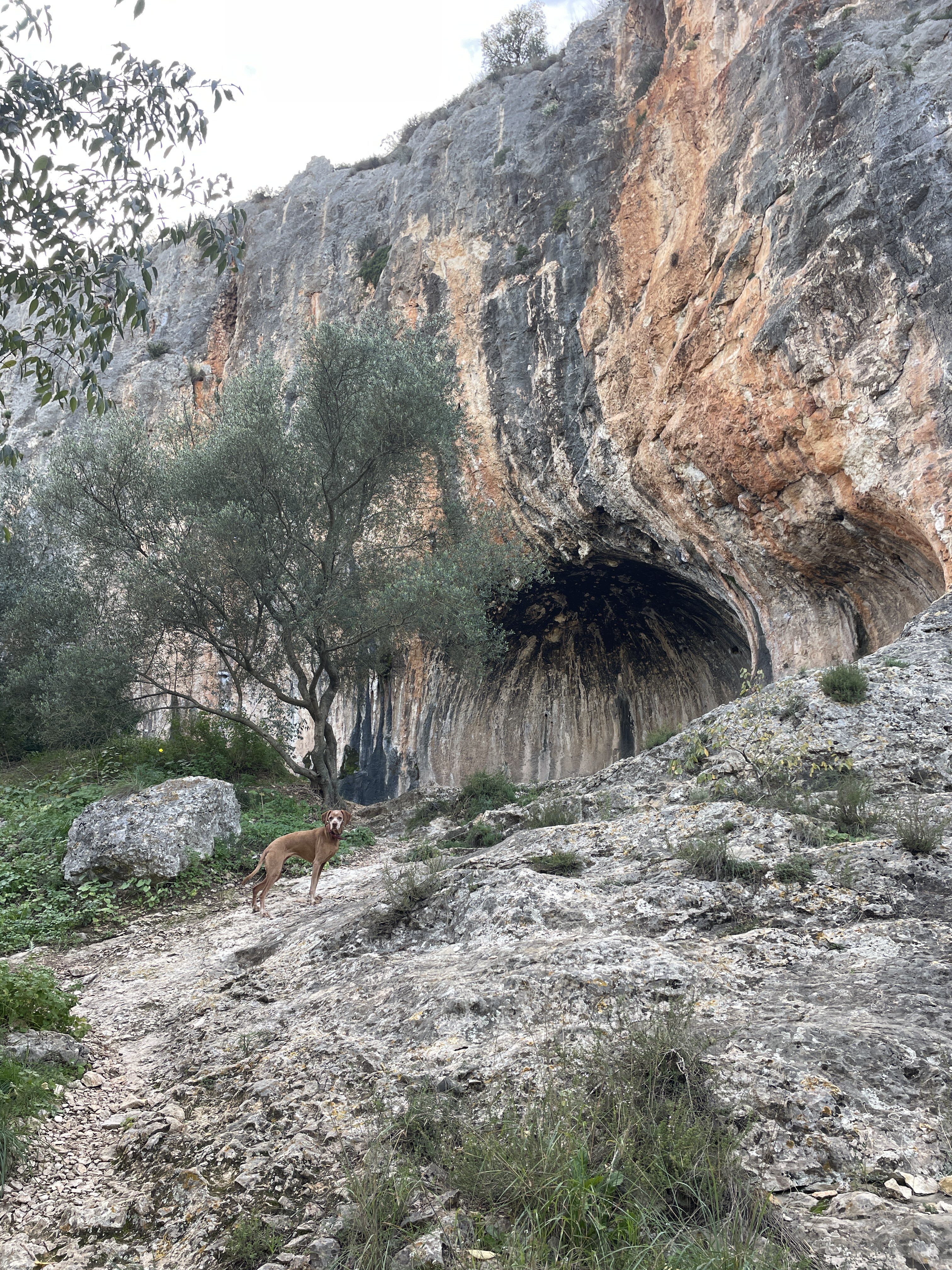 XG47+R2 Bellús, Spain / 22-11-2025 15:16 / 13.62 °C en zeer lichte bewolking / 131 m