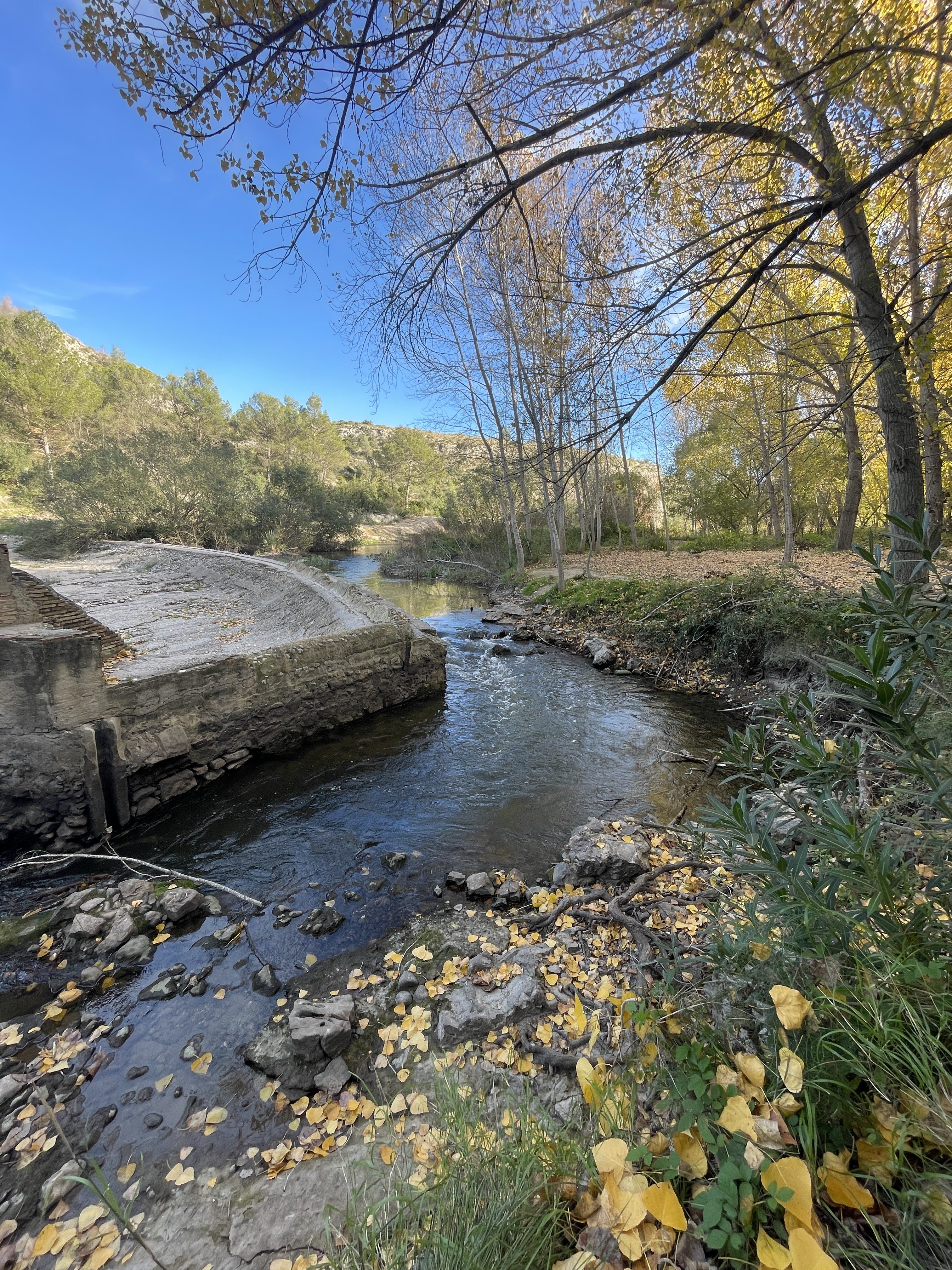 XG57+23 Bellús, Spain / 22-11-2025 15:19 / 13.67 °C en zeer lichte bewolking / 119 m