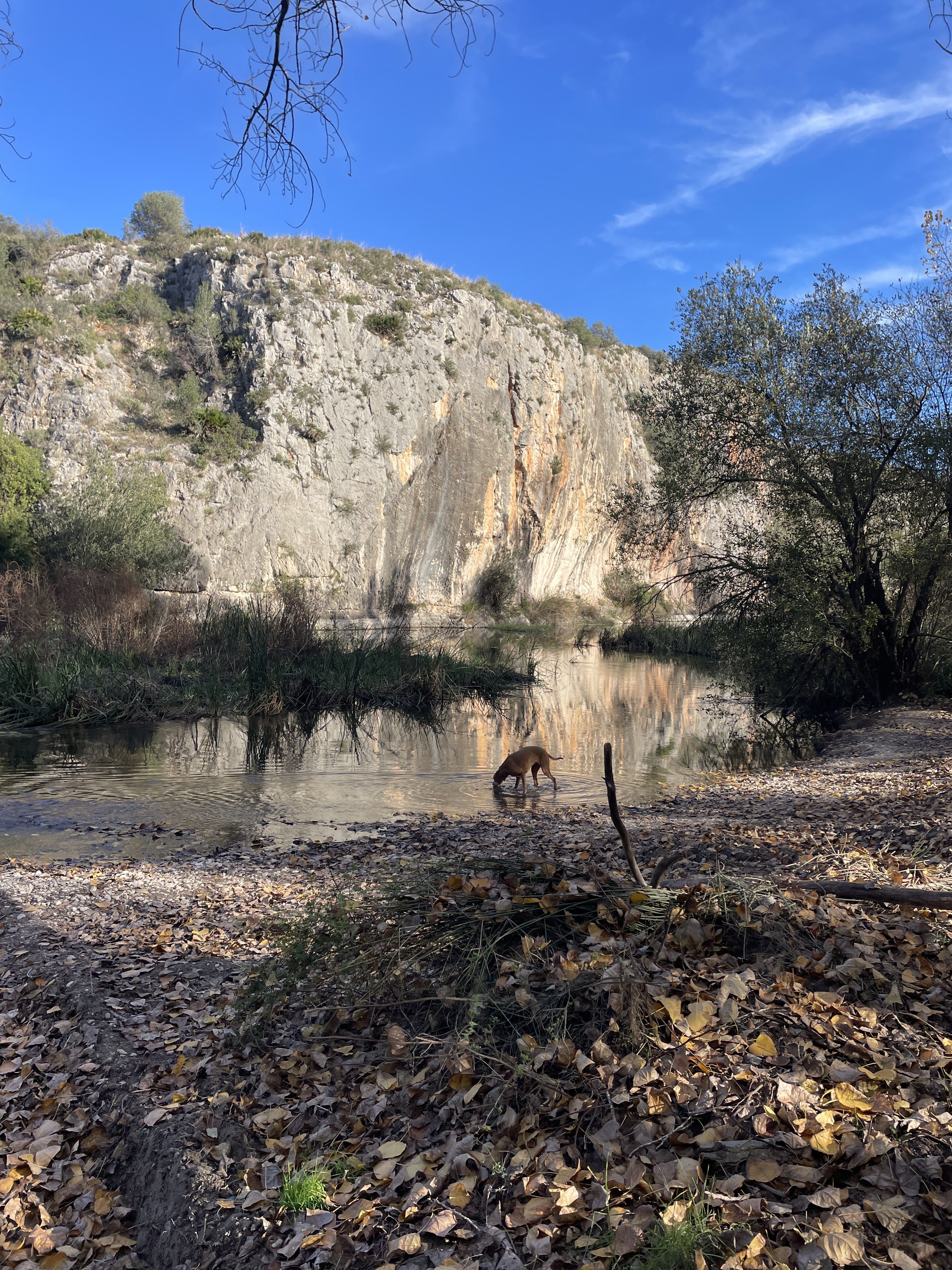 XG47+PF Bellús, Spain / 22-11-2025 15:22 / 13.62 °C en zeer lichte bewolking / 115 m