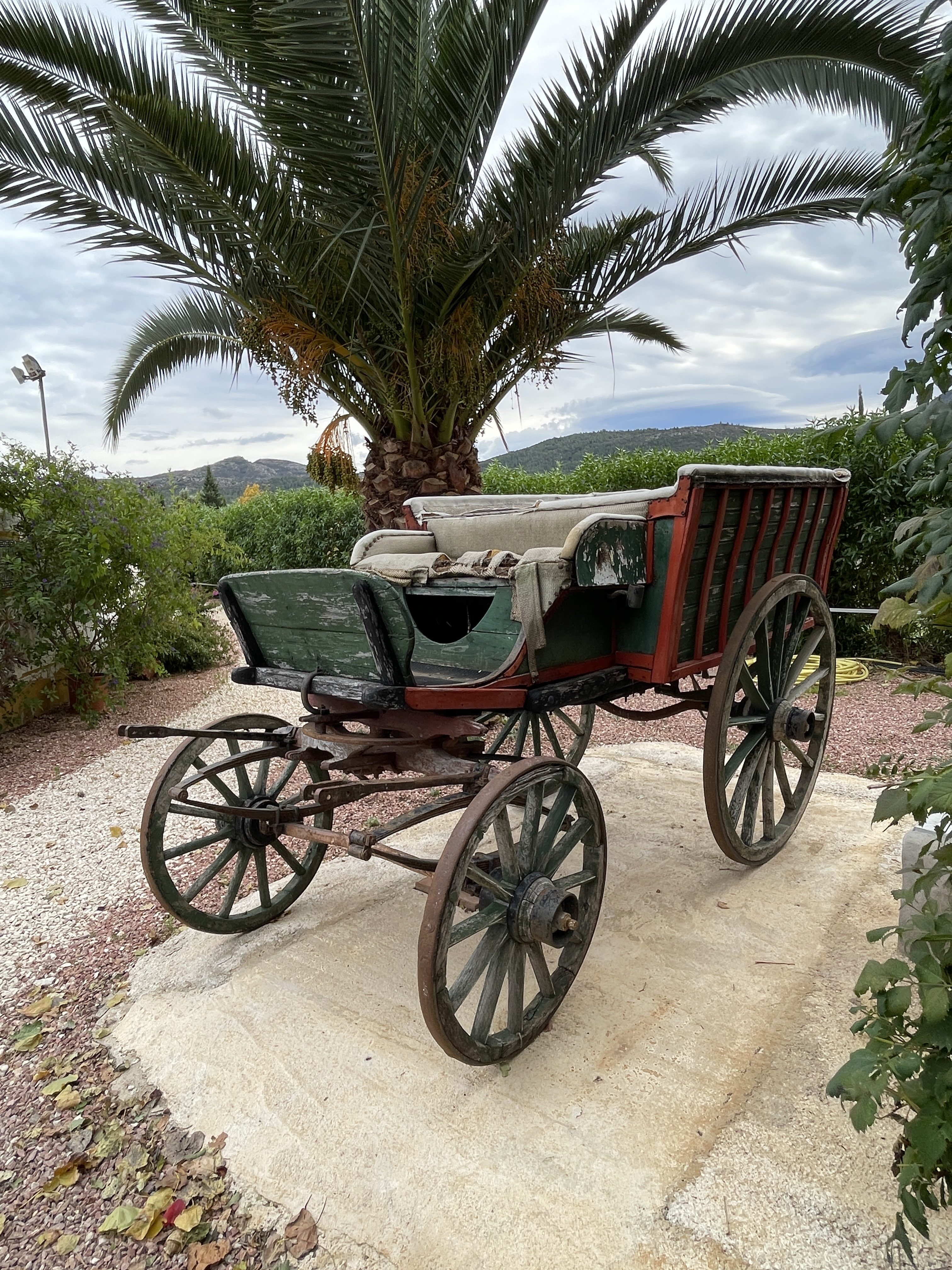 Camino la Racona, 12, 03728 Alcalalí, Alicante, Spain / 24-11-2025 14:29 / 17.29 °C en bewolkt / 214 m