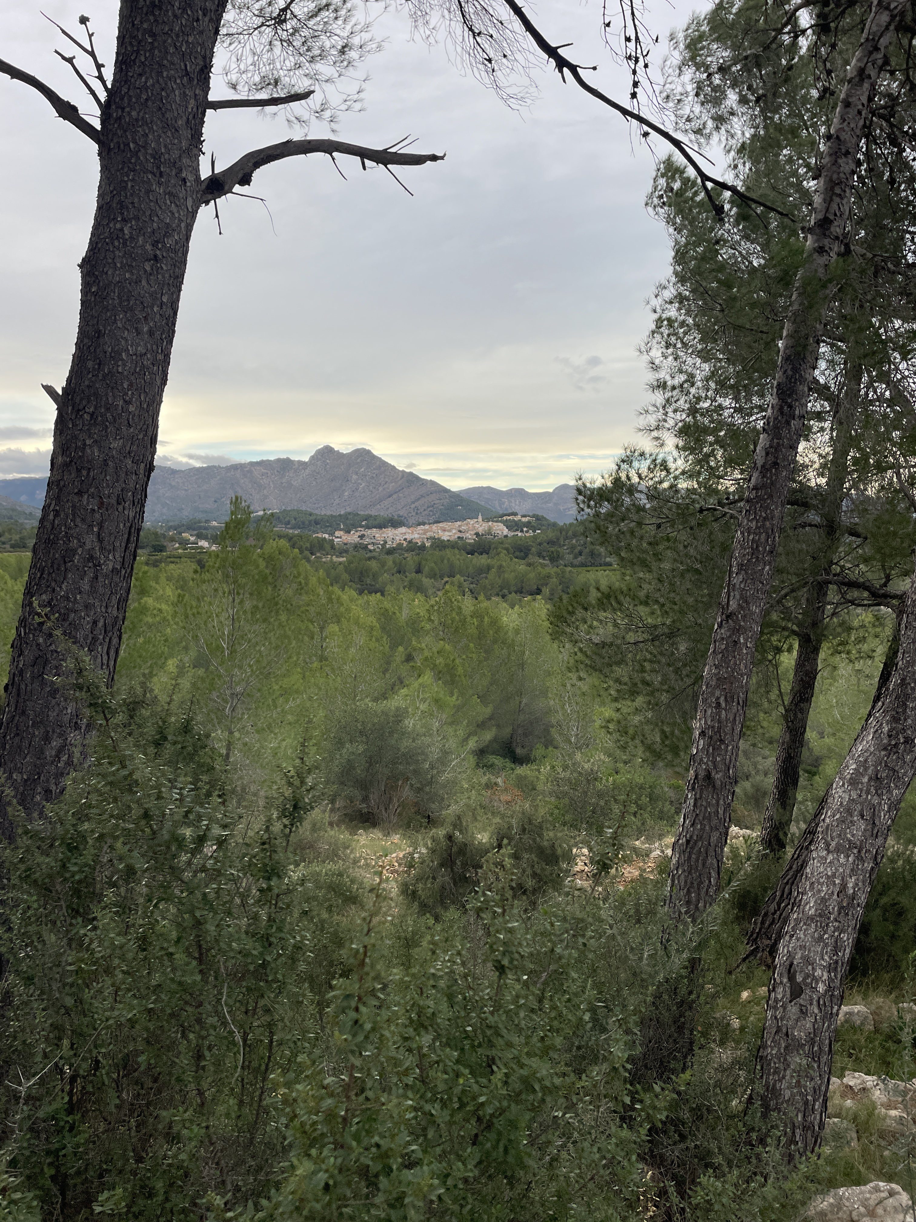 PWMX+5Q Parcent, Spain / 24-11-2025 15:37 / 16.4 °C en bewolkt / 289 m