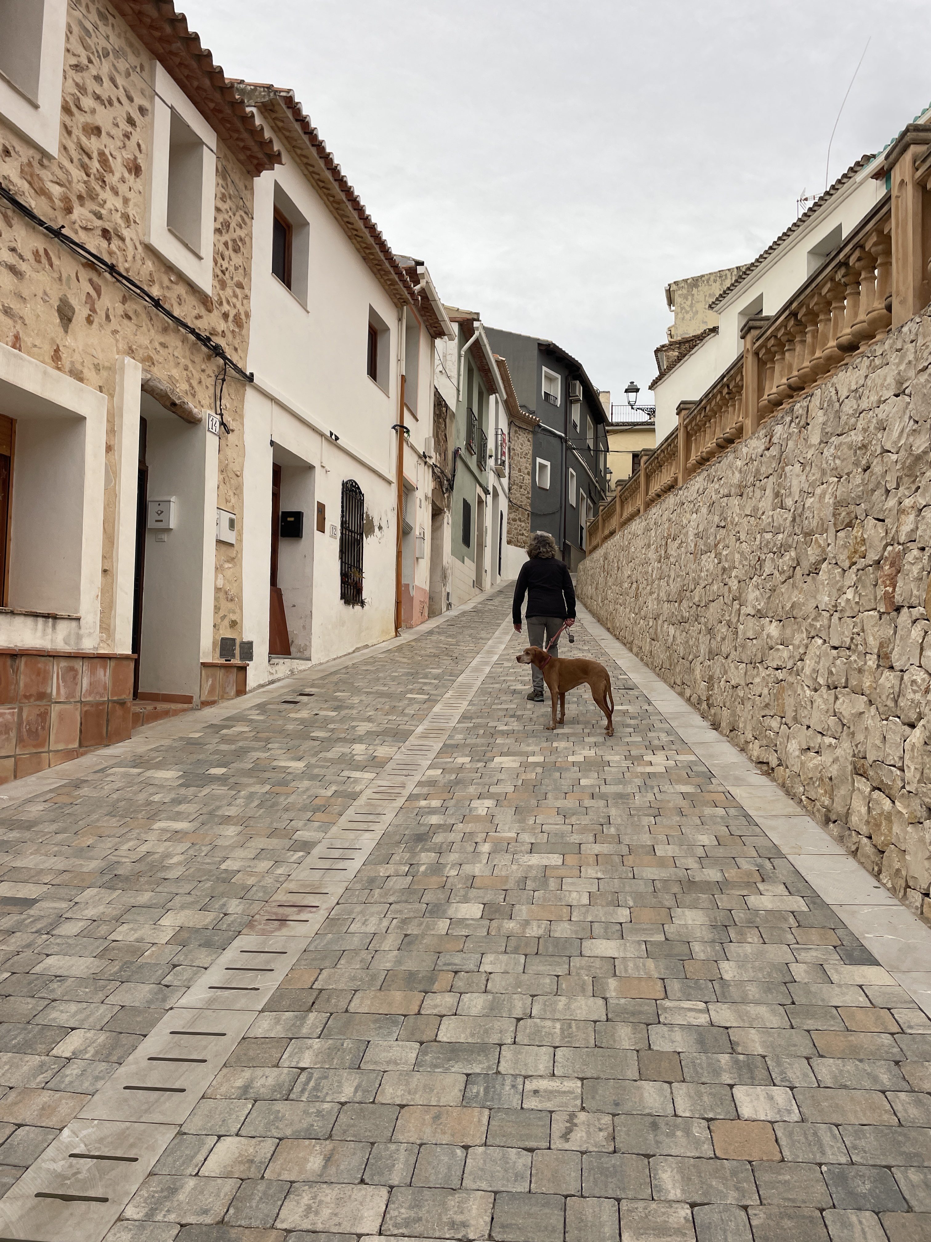Carrer del Ravalet, 18, 03728 Alcalalí, Alicante, Spain / 24-11-2025 16:29 / 16.8 °C en bewolkt / 227 m