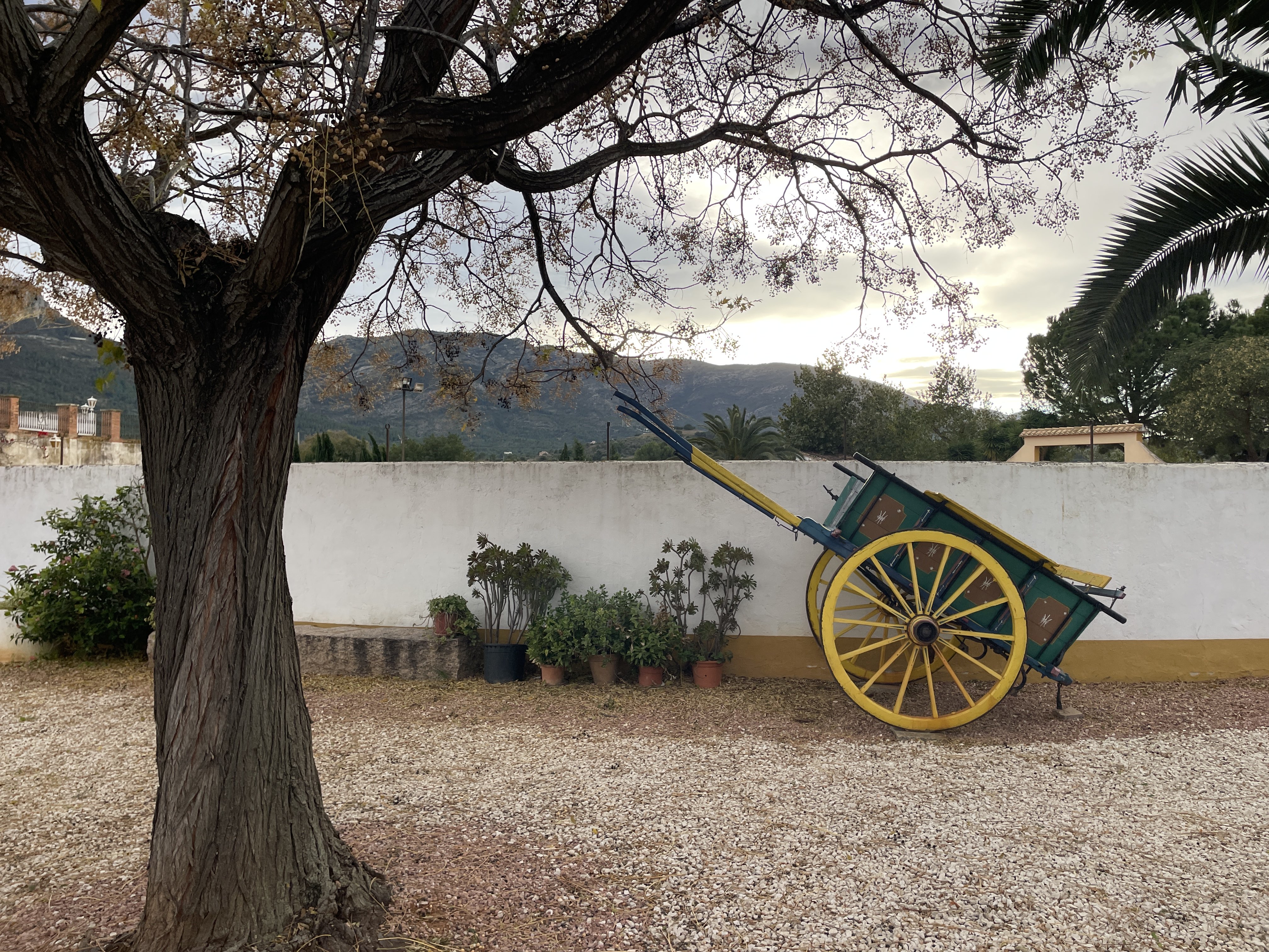 Plaça los Trossos, 47, 03728 Alcalalí, Alicante, Spain / 24-11-2025 16:45 / 16.89 °C en bewolkt / 214 m