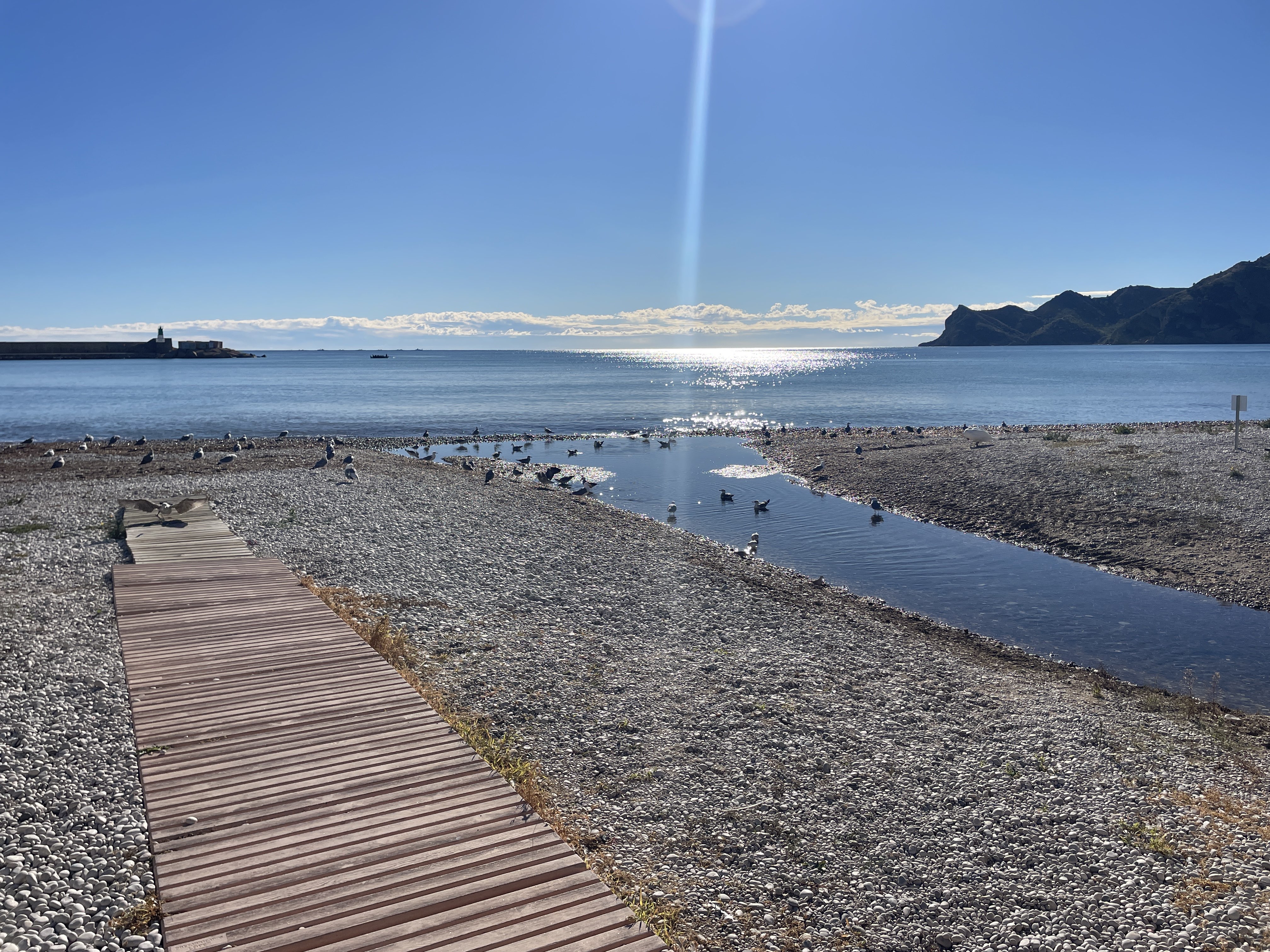 Av. del Puerto, 24, 03590 Altea, Alicante, Spain / 25-11-2025 10:56 / 16.39 °C en licht bewolkt / 3 m