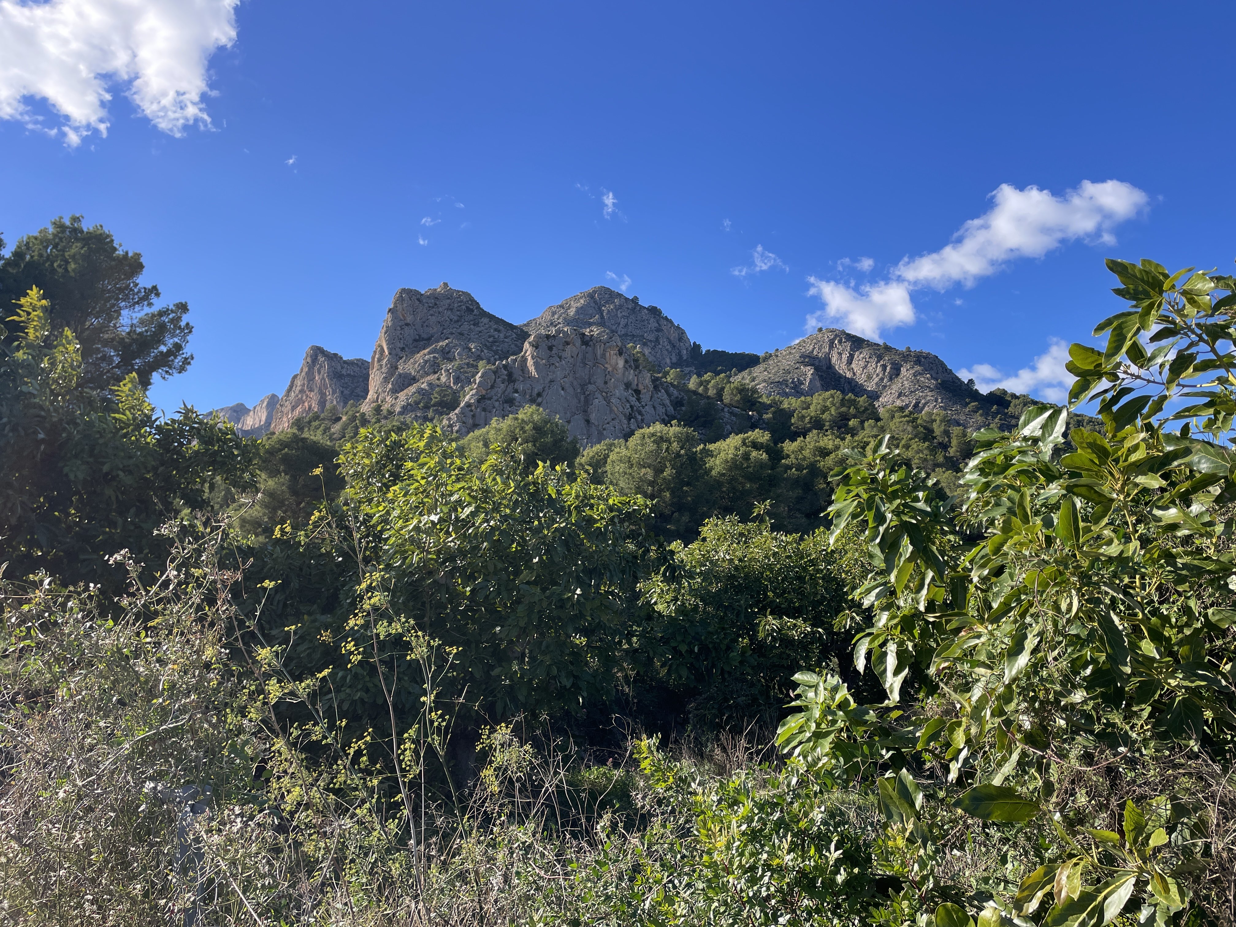 Partida Bacorero, 18, 03520 Polop, Alicante, Spain / 26-11-2025 14:06 / 13.16 °C en onbewolkt / 327 m
