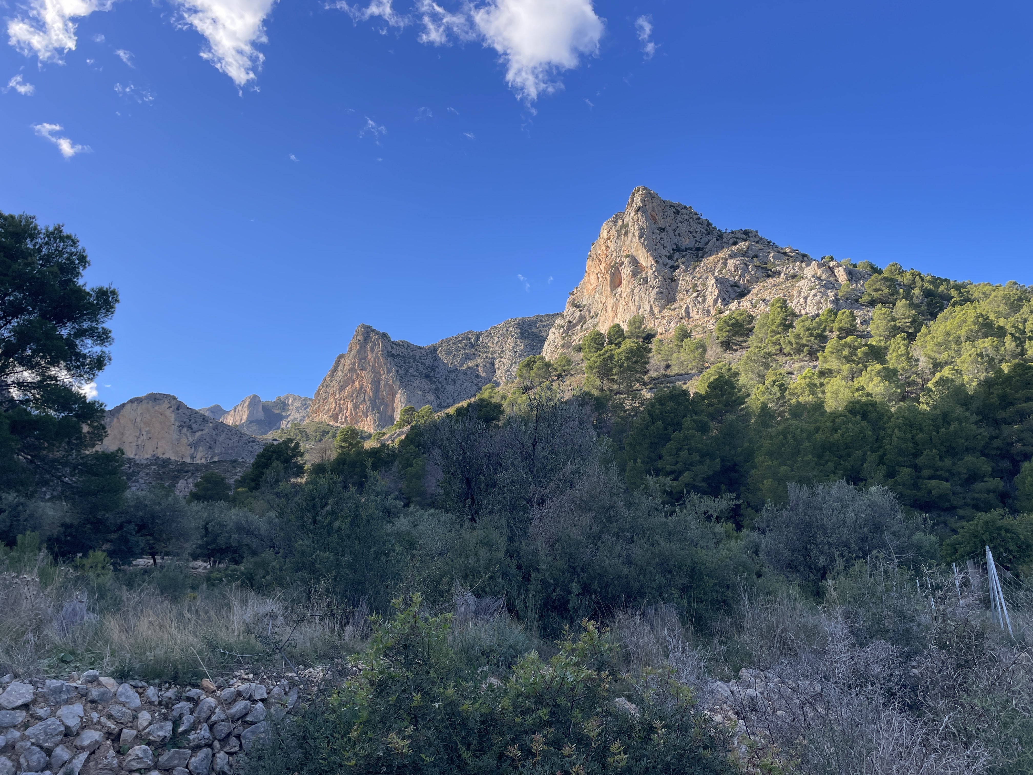 Camí del Castellet, 24, 03520 Polop, Alicante, Spain / 26-11-2025 14:11 / 12.59 °C en onbewolkt / 354 m