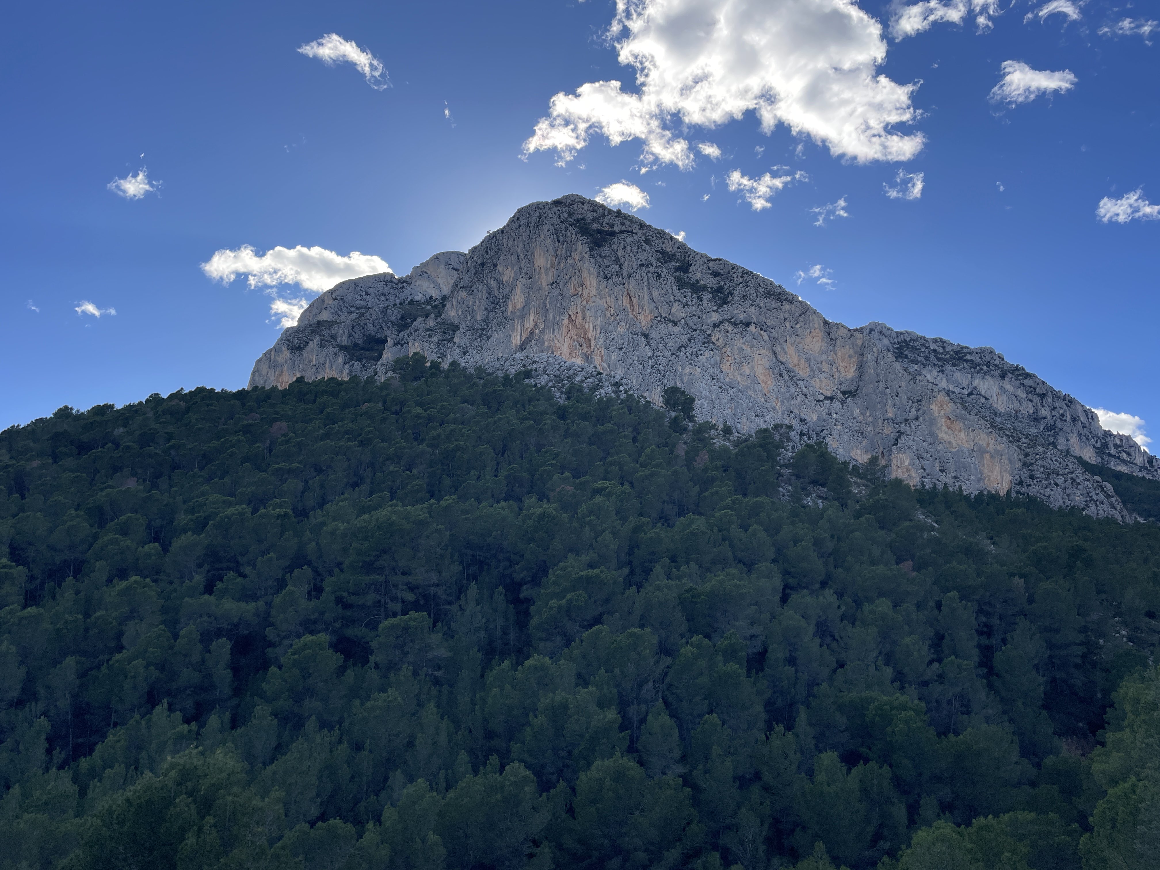 Camí del Castellet, 24, 03520 Polop, Alicante, Spain / 26-11-2025 14:13 / 12.59 °C en onbewolkt / 355 m