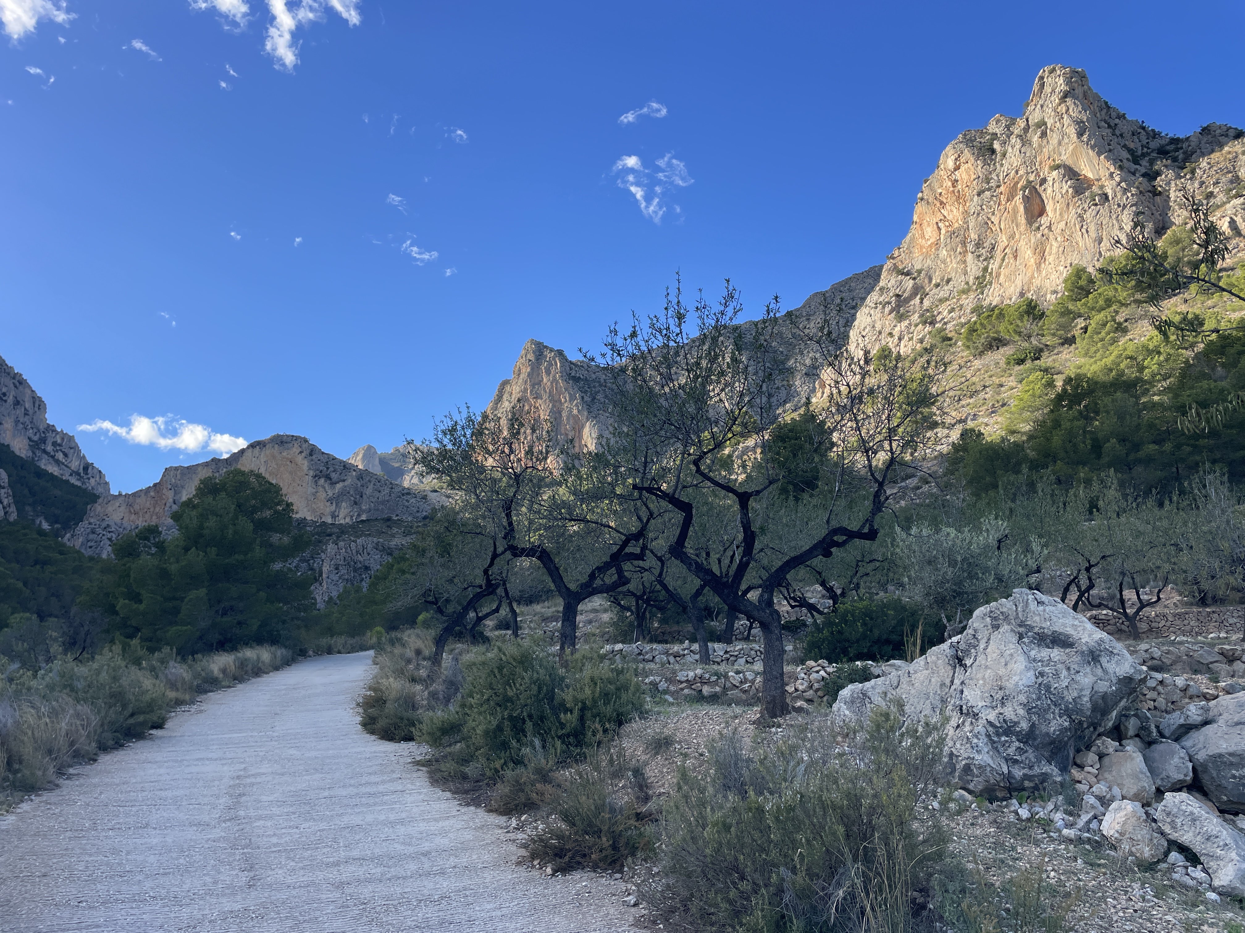 Camí del Castellet, 24, 03520 Polop, Alicante, Spain / 26-11-2025 14:14 / 12.59 °C en onbewolkt / 361 m