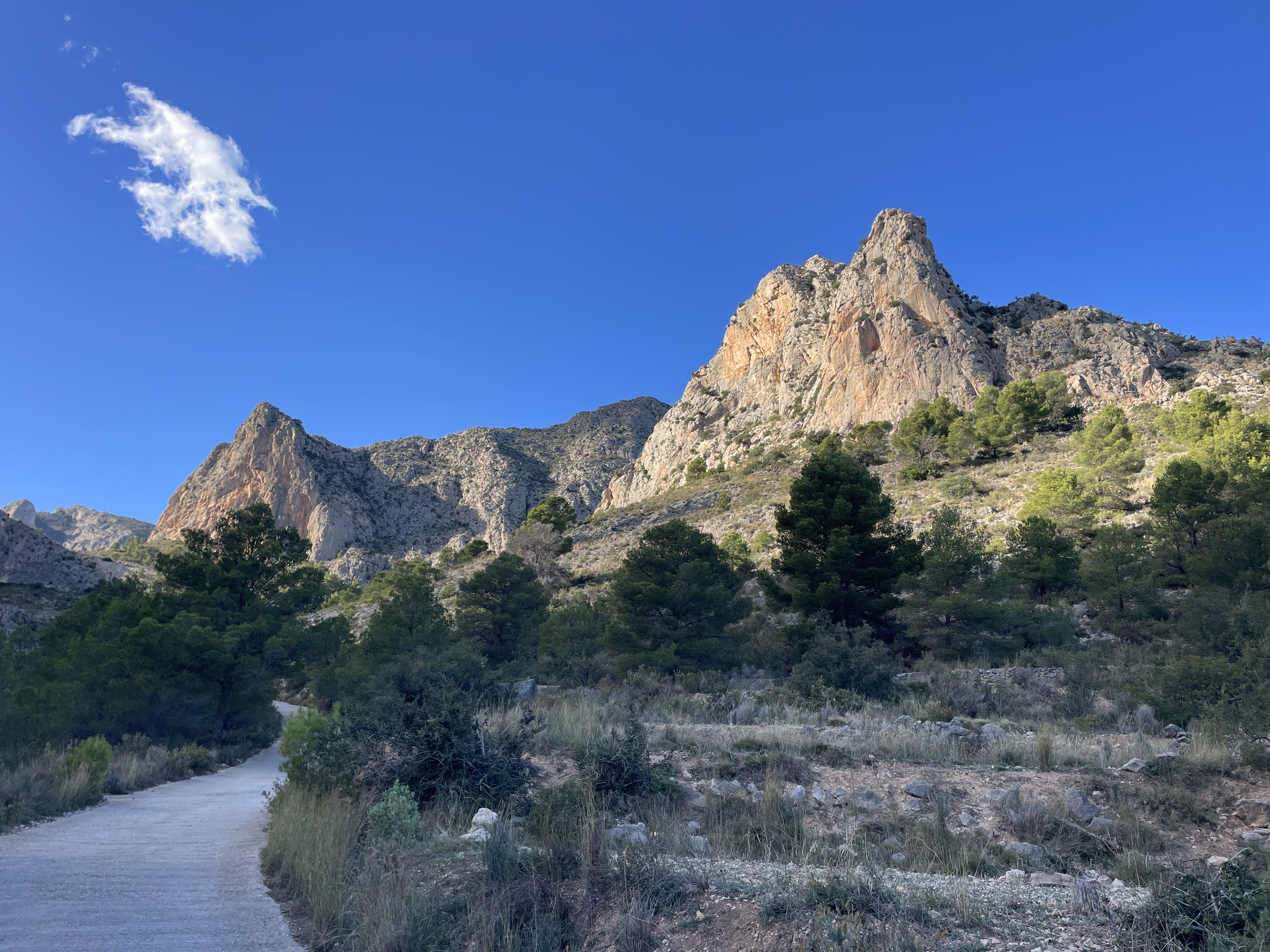 Camí del Castellet, 24, 03520 Polop, Alicante, Spain / 26-11-2025 14:15 / 12.58 °C en onbewolkt / 365 m