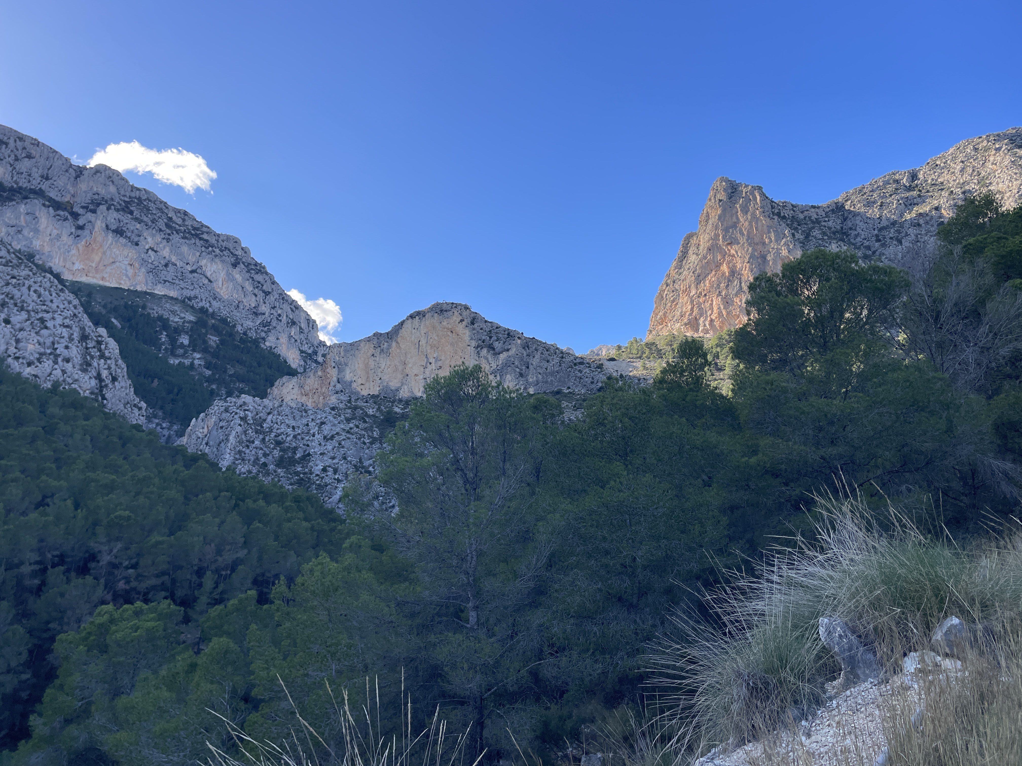 Partida Guap-dar, 4, 03520 Benimantell, Alicante, Spain / 26-11-2025 14:20 / 12.41 °C en onbewolkt / 396 m