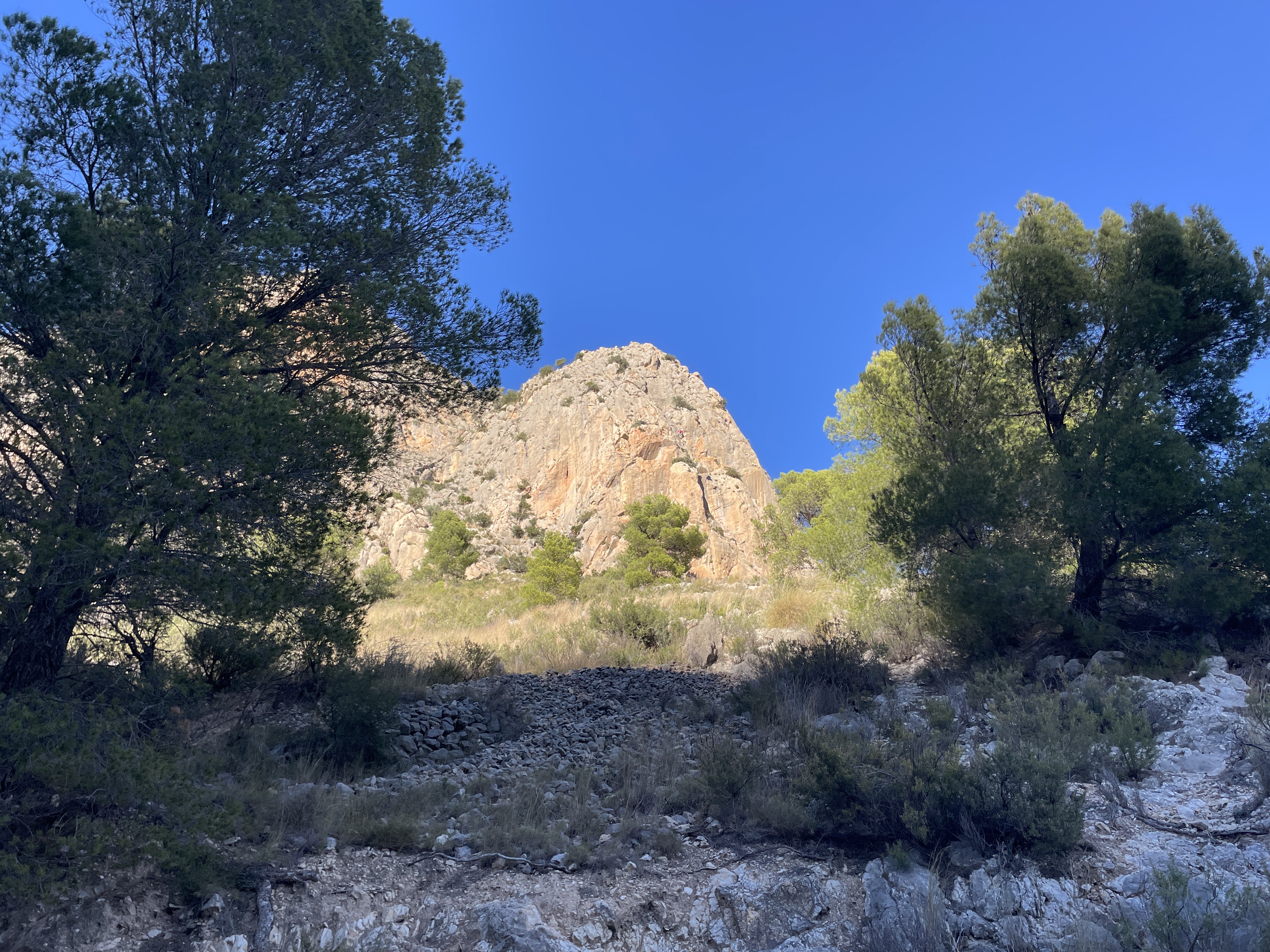 Partida Guap-dar, 4, 03520 Benimantell, Alicante, Spain / 26-11-2025 14:21 / 12.41 °C en onbewolkt / 400 m