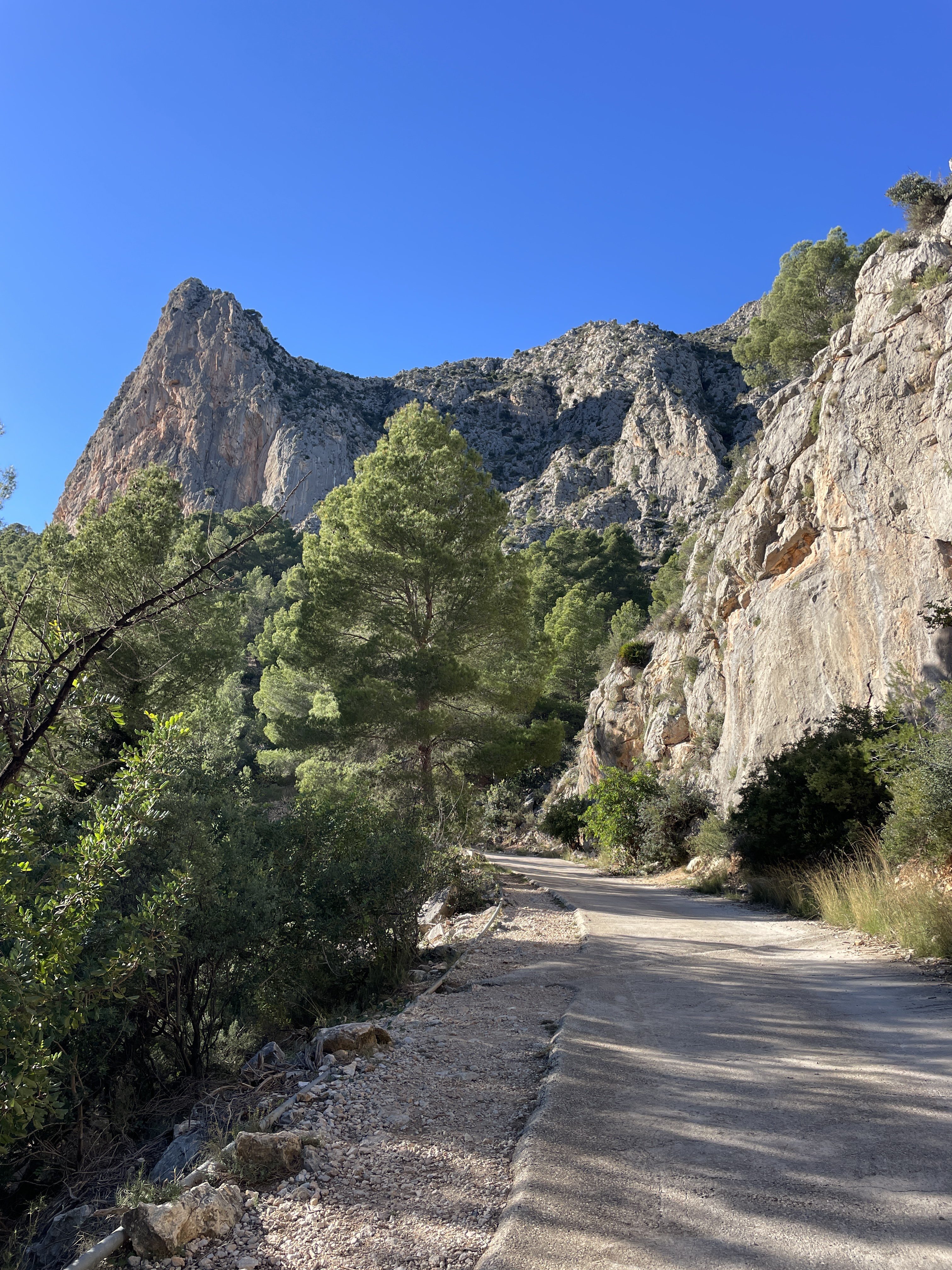 Partida Guap-dar, 4, 03520 Polop, Alicante, Spain / 26-11-2025 14:25 / 12.41 °C en onbewolkt / 430 m