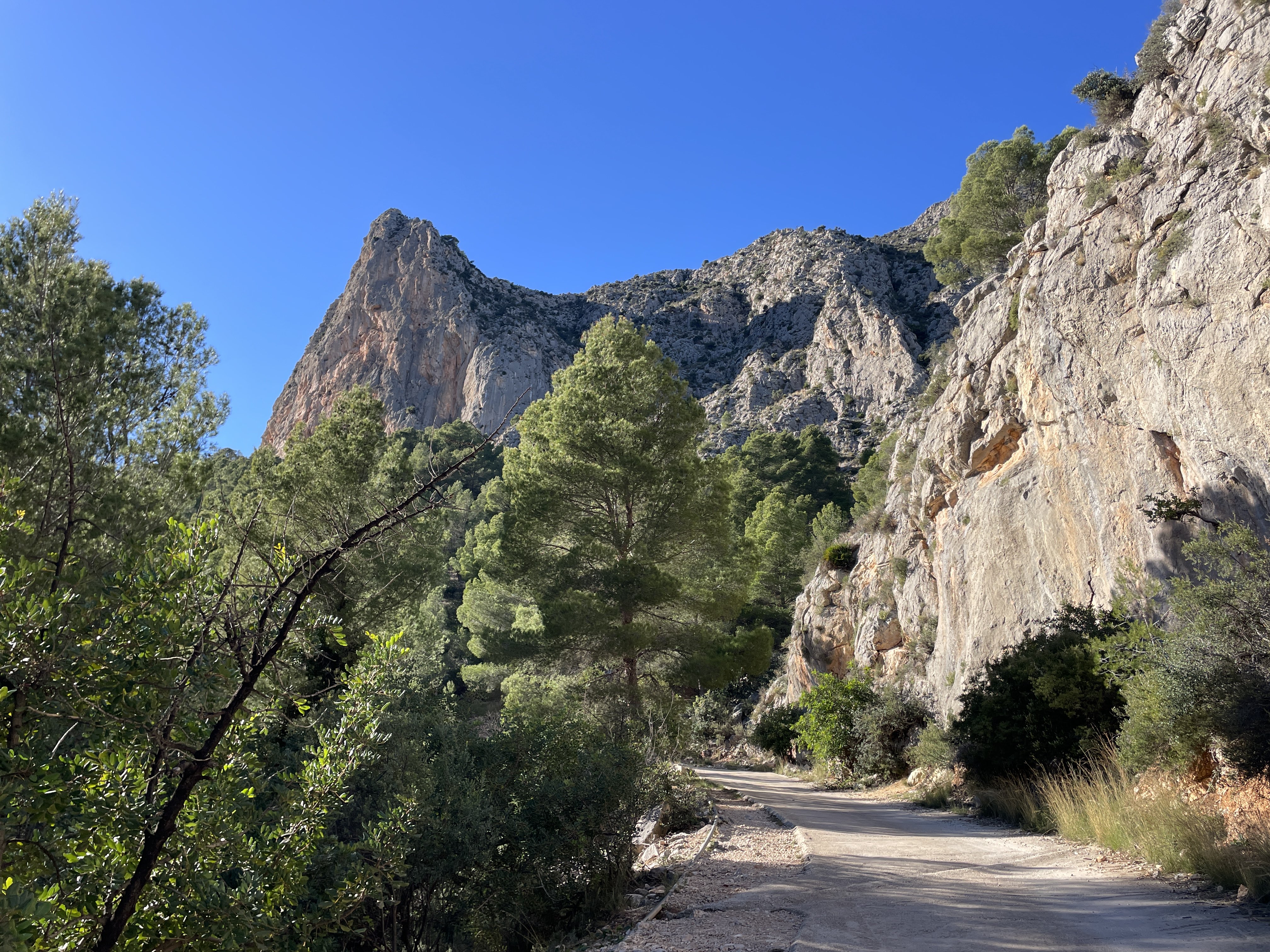 Partida Guap-dar, 4, 03520 Polop, Alicante, Spain / 26-11-2025 14:25 / 12.41 °C en onbewolkt / 429 m