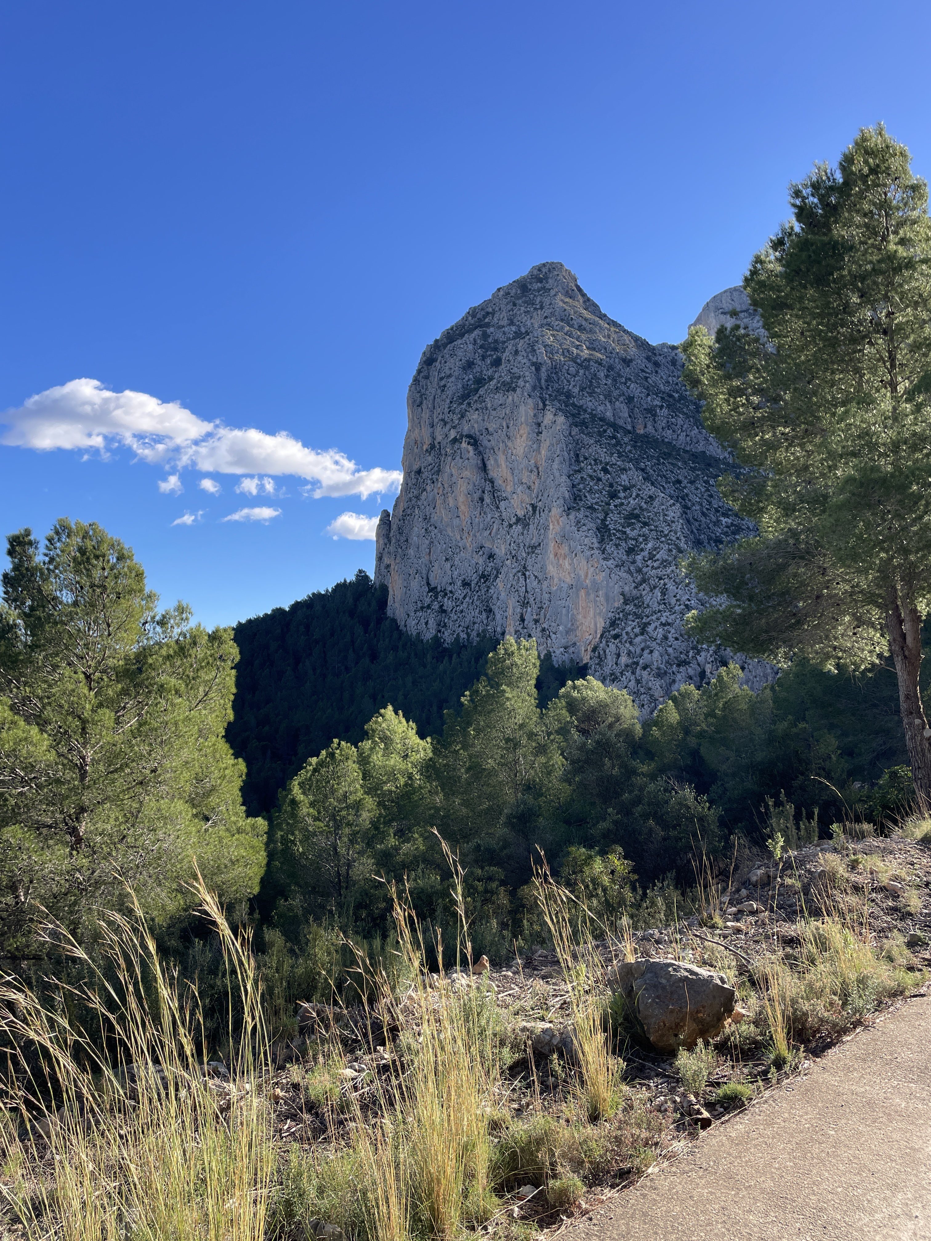 Partida Guap-dar, 4, 03520 Polop, Alicante, Spain / 26-11-2025 14:30 / 12.4 °C en onbewolkt / 453 m