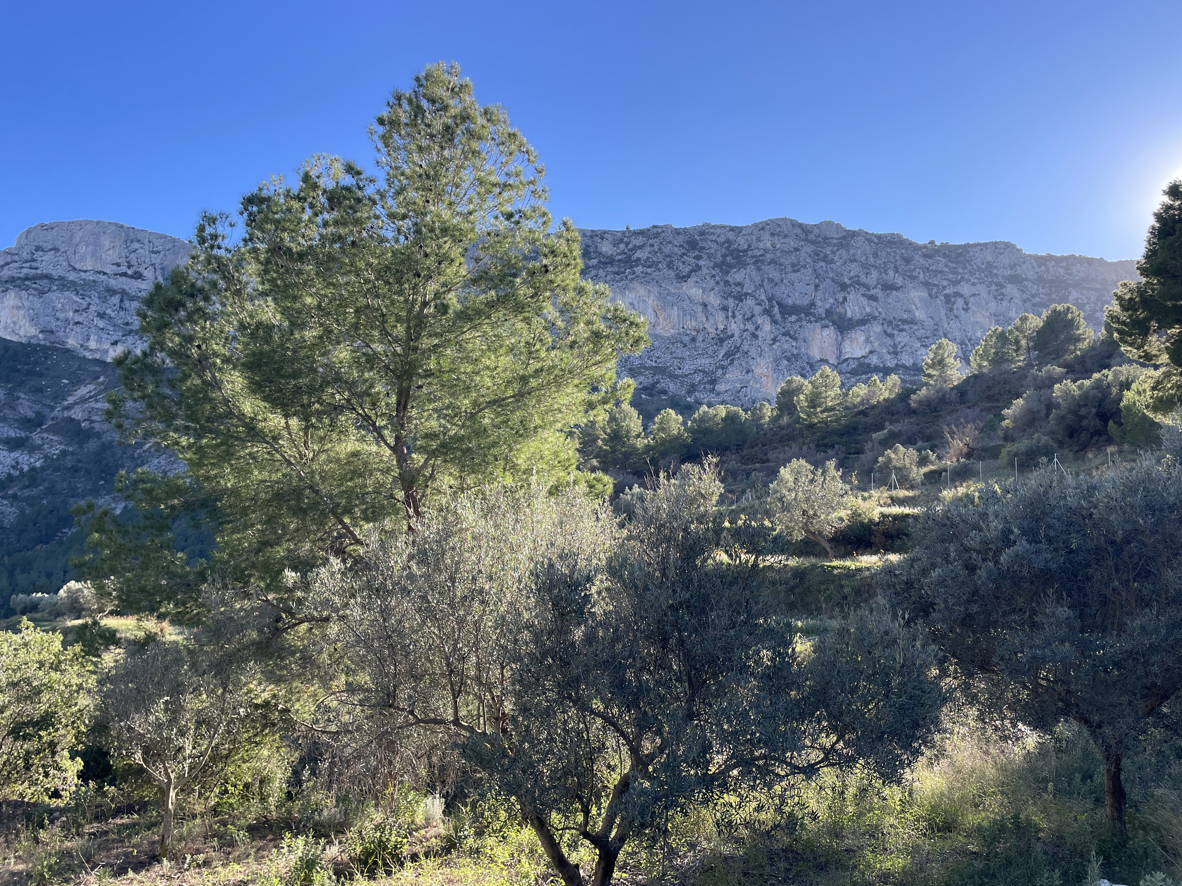 Mas del Pi, Partida Guap-dar, 4, 03520 Polop, Alicante, Spain / 26-11-2025 14:55 / 11.59 °C en onbewolkt / 546 m