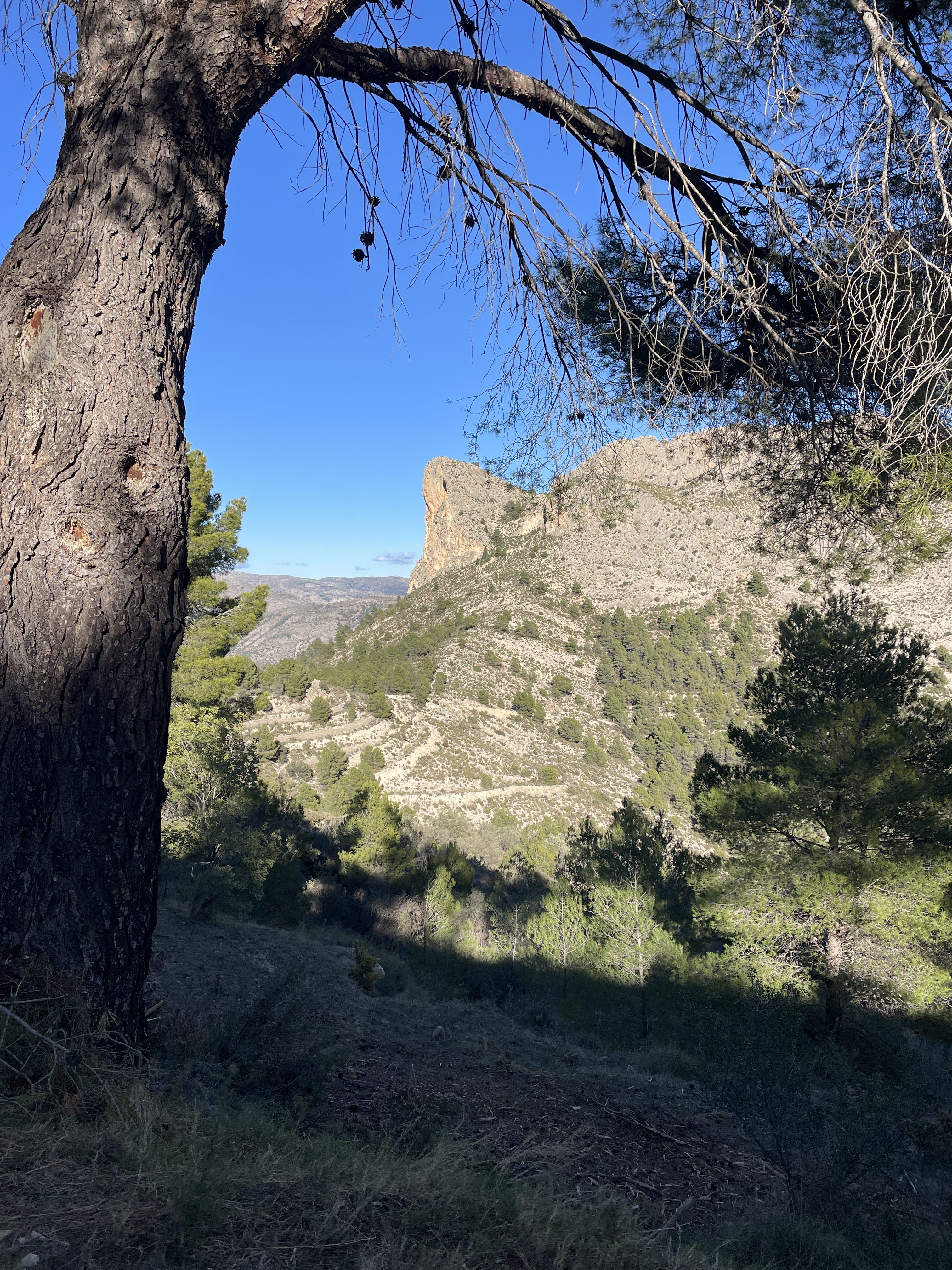 Partida Guap-dar, 2, 03520, Alicante, Spain / 26-11-2025 15:15 / 10.49 °C en onbewolkt / 654 m