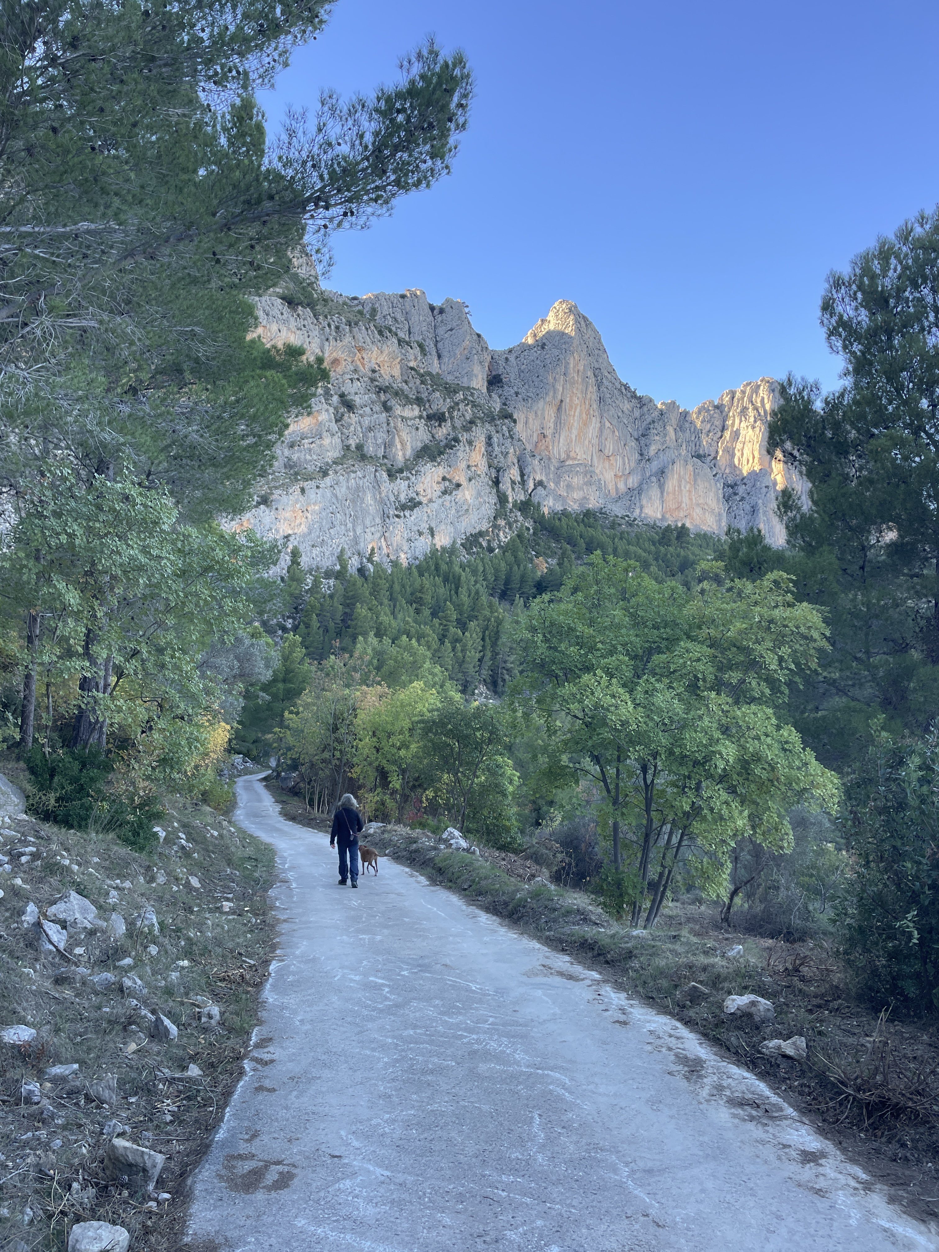 Partida Guap-dar, 1, 03520 Benimantell, Alicante, Spain / 26-11-2025 15:23 / 10.46 °C en onbewolkt / 627 m