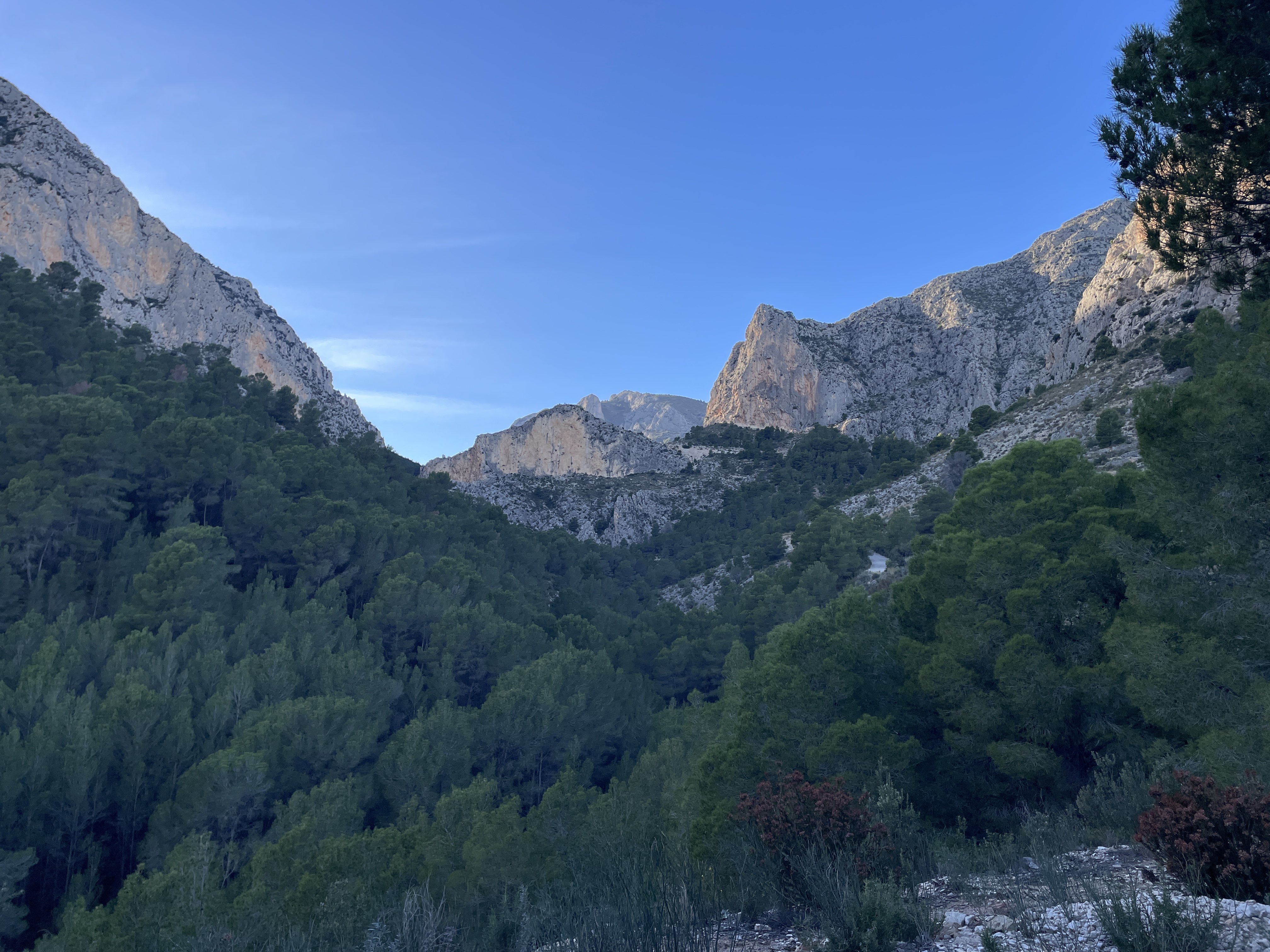 Partida Bacorero, 8, 03520 Polop, Alicante, Spain / 27-11-2025 15:32 / 12.5 °C en bewolkt / 352 m