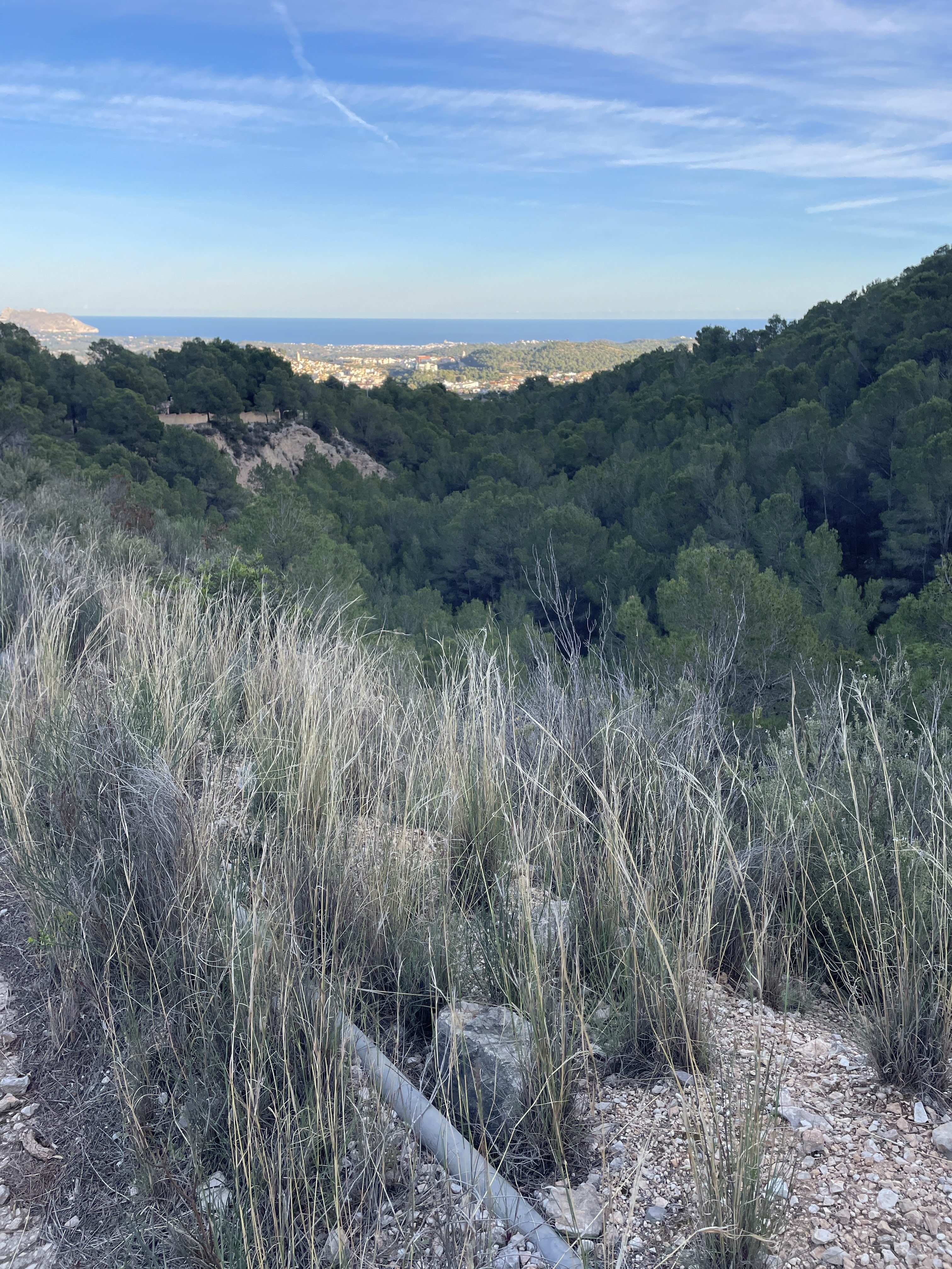 Camí del Castellet, 24, 03520 Polop, Alicante, Spain / 27-11-2025 16:21 / 11.83 °C en bewolkt / 365 m