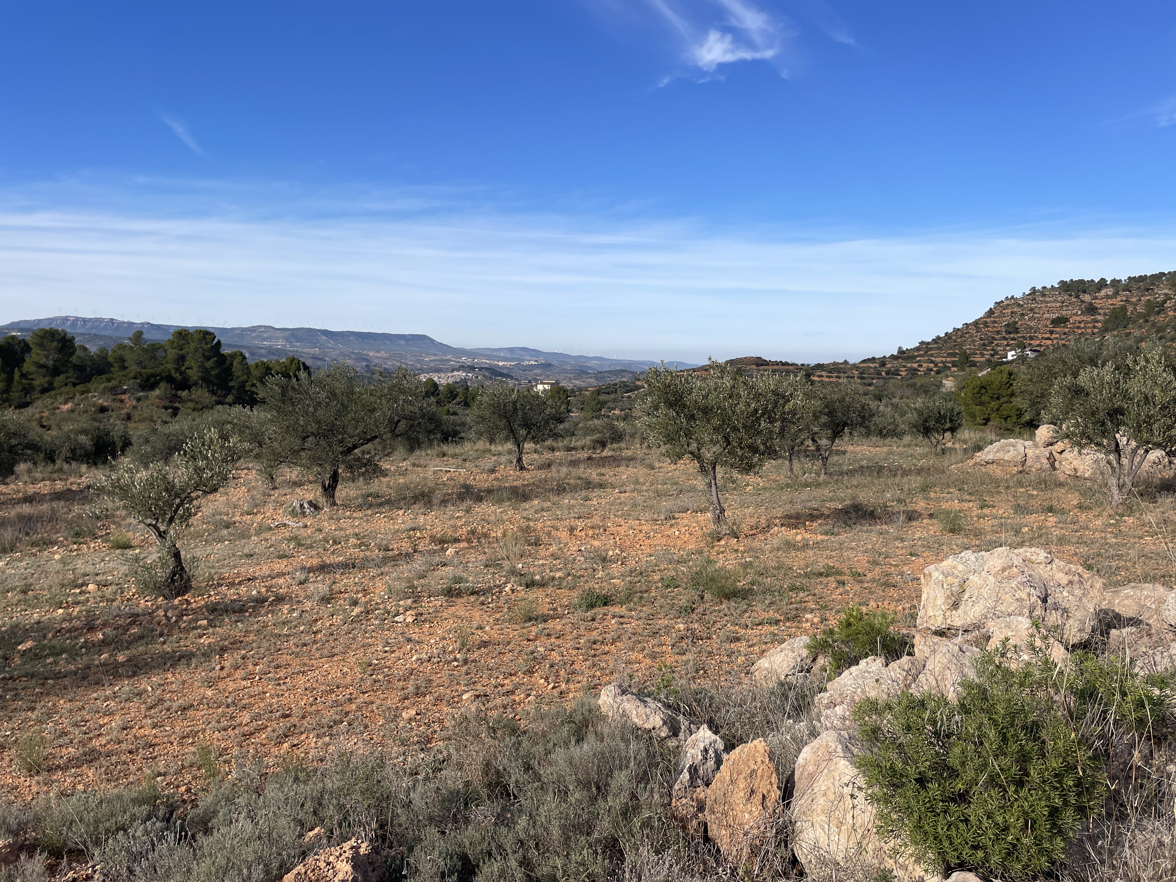 3XHF+P7 Ayora, Spain / 29-11-2025 14:22 / 14.46 °C en bewolkt / 586 m