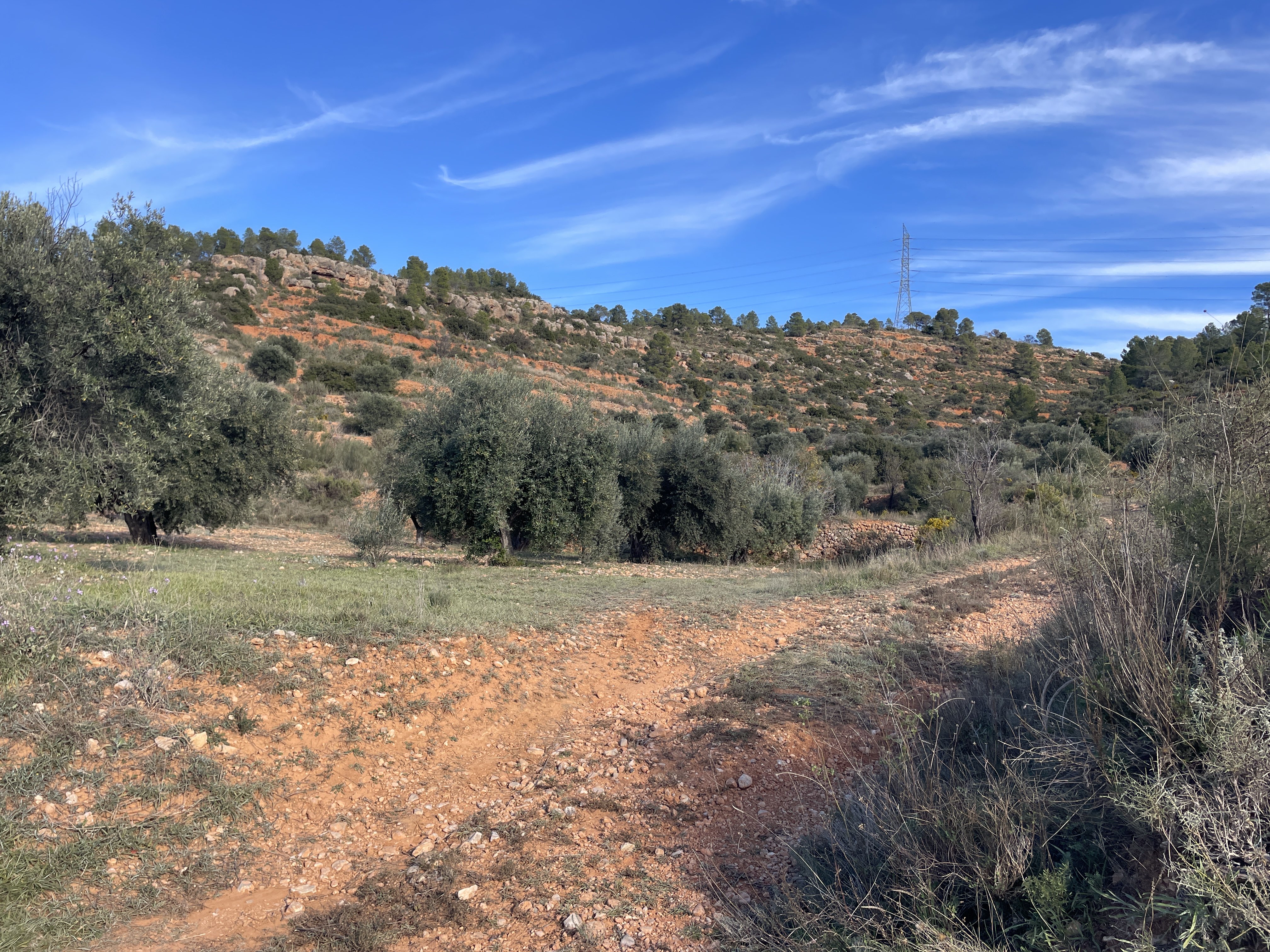 Poligono Seis, 446, 46622, Valencia, Spain / 29-11-2025 14:37 / 14.01 °C en bewolkt / 583 m