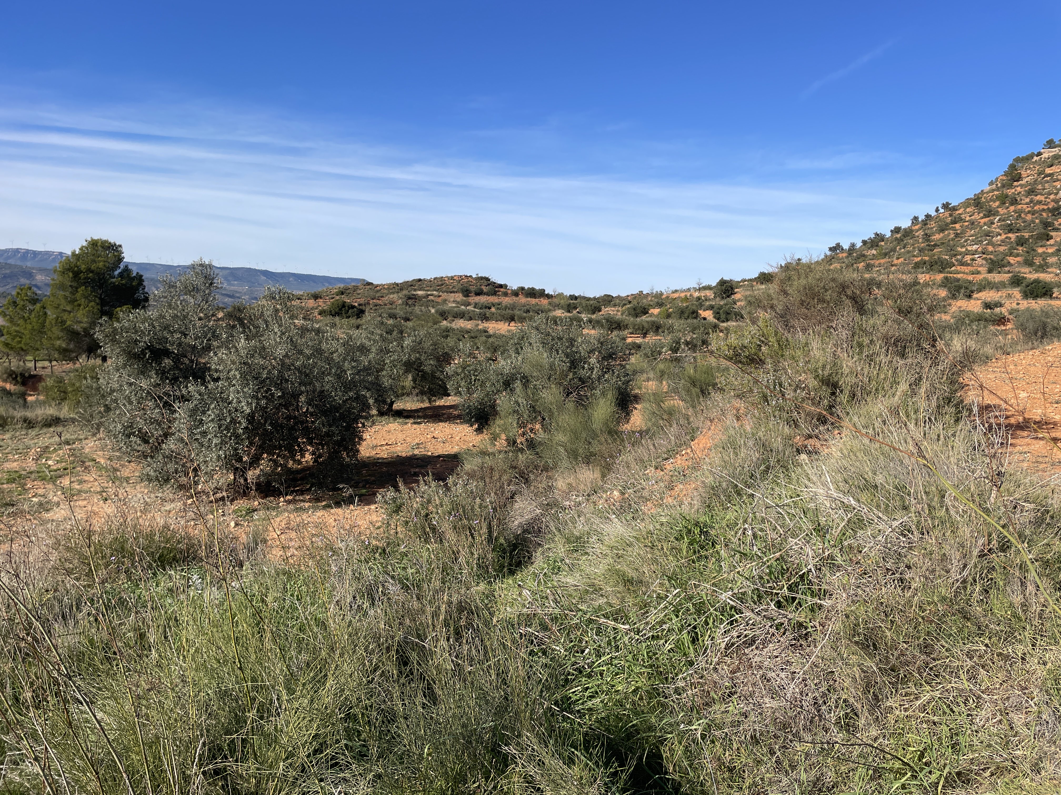 Poligono Seis, 500, 46622, Valencia, Spain / 29-11-2025 14:41 / 14.29 °C en bewolkt / 581 m