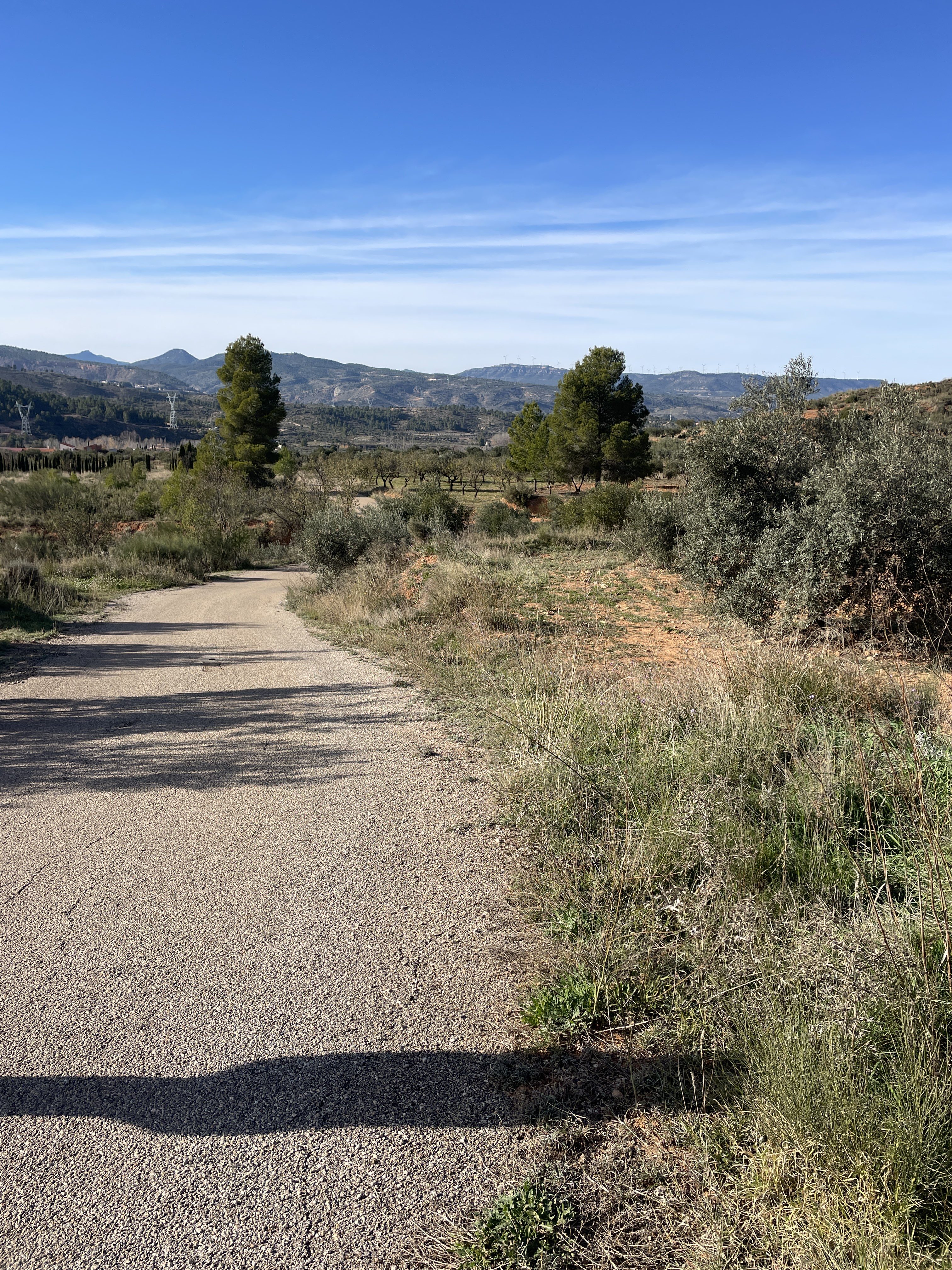 Poligono Seis, 500, 46622, Valencia, Spain / 29-11-2025 14:41 / 14.29 °C en bewolkt / 581 m