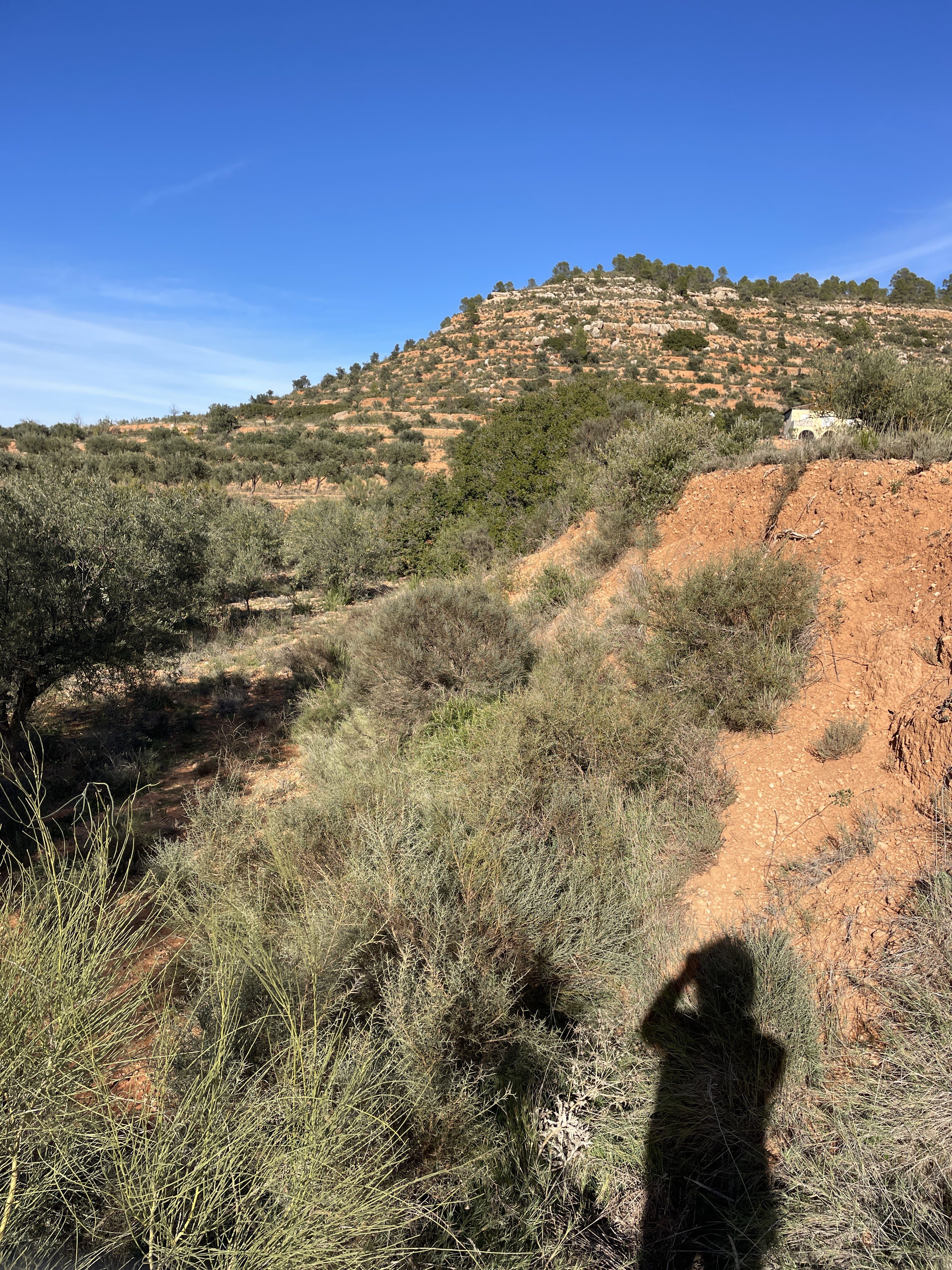 Poligono Seis, 500, 46622, Valencia, Spain / 29-11-2025 14:42 / 14.29 °C en bewolkt / 575 m