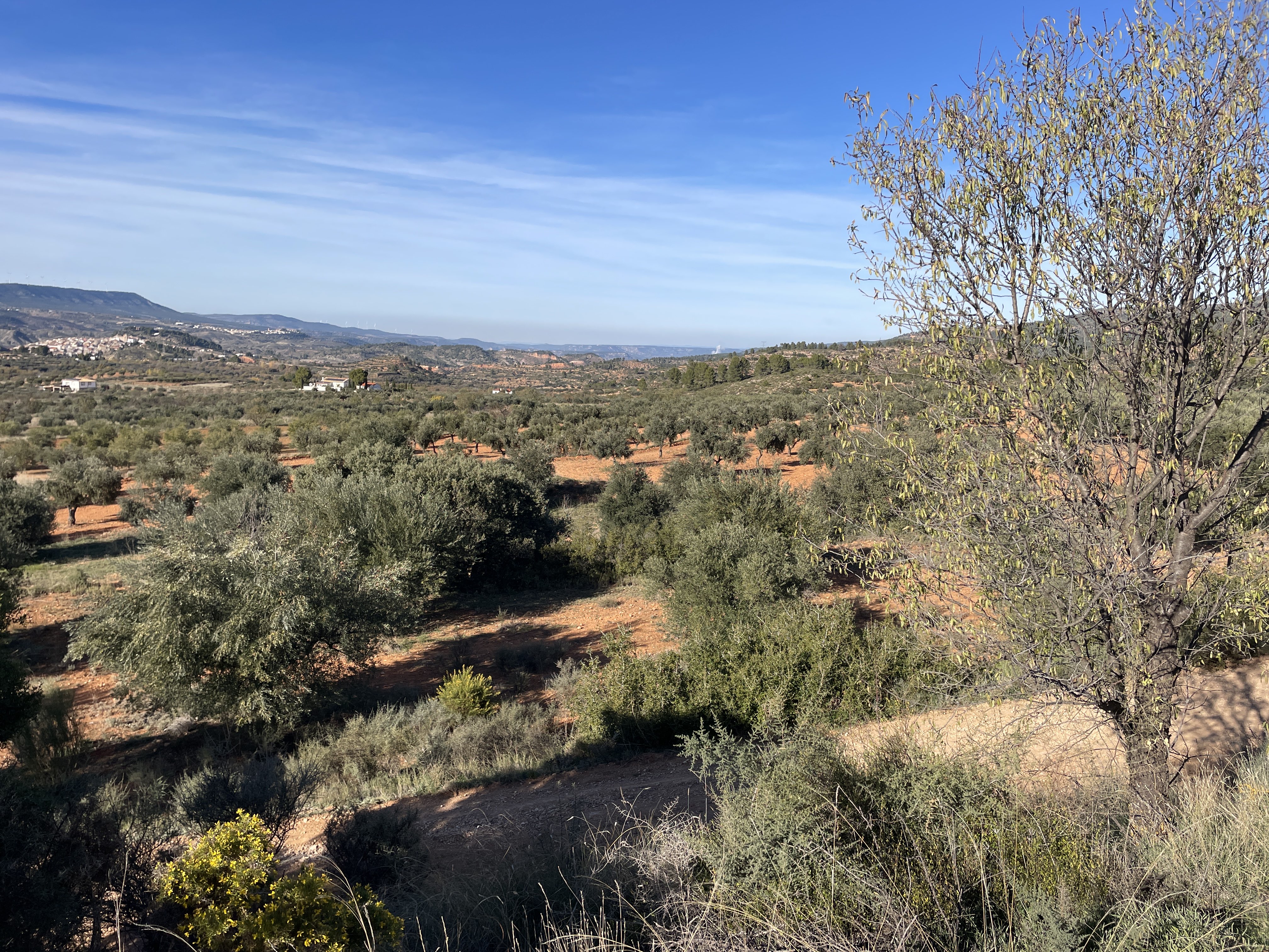 Poligono Seis, 67, 46622, Valencia, Spain / 29-11-2025 14:49 / 14.26 °C en bewolkt / 563 m