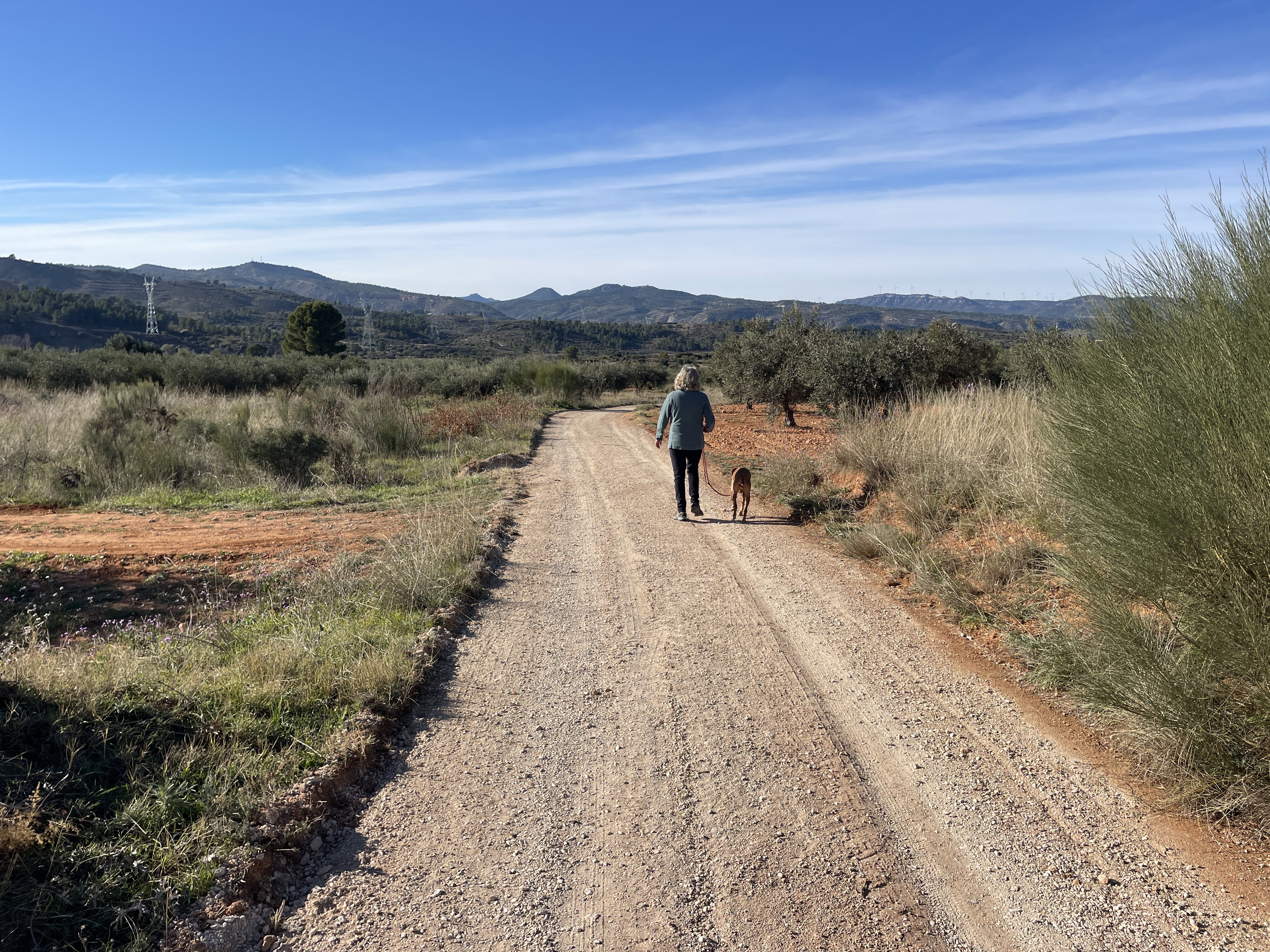 3XQ8+3V Teresa de Cofrentes, Spain / 29-11-2025 14:54 / 14.45 °C en bewolkt / 545 m