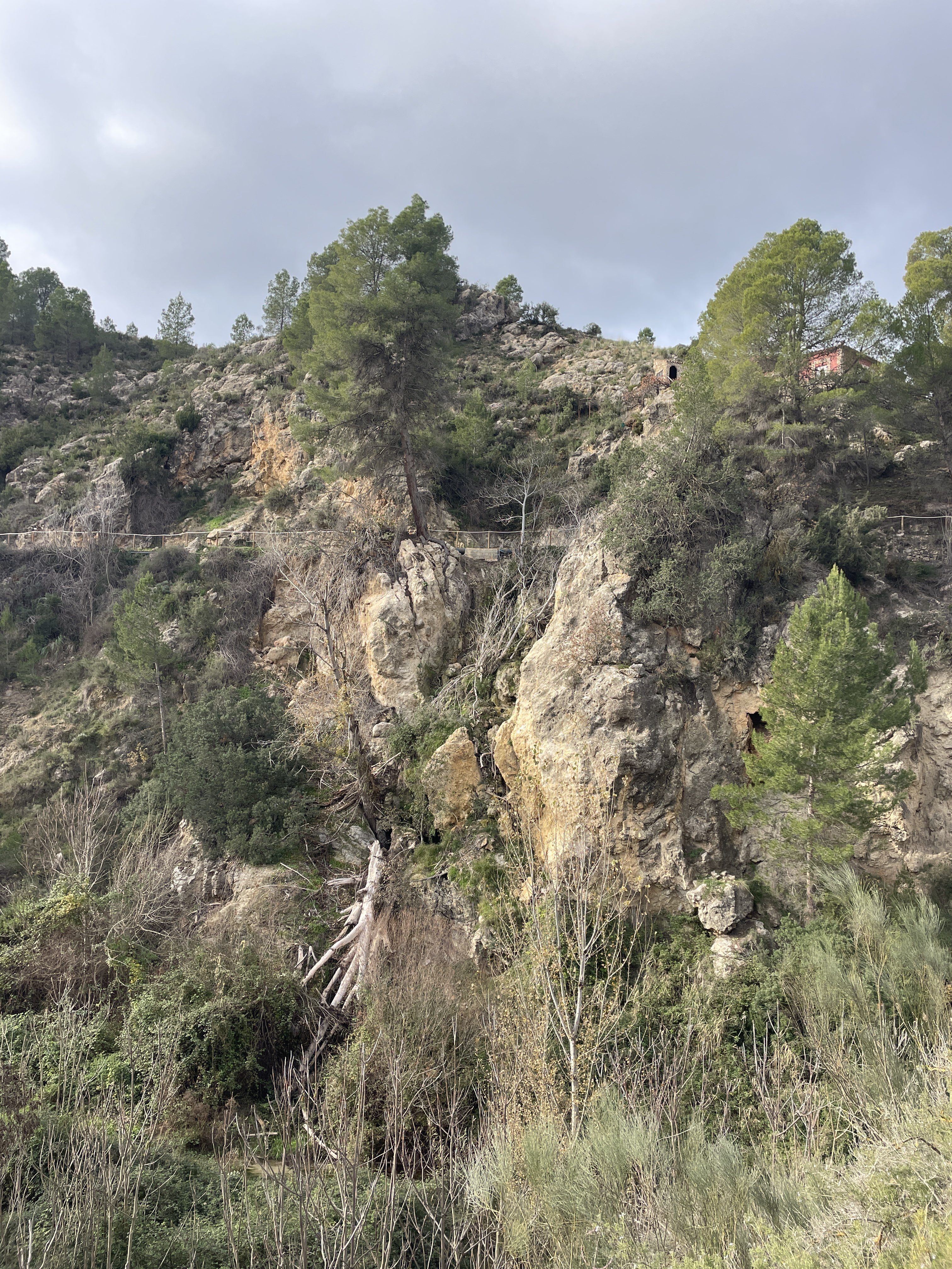 Poligono Cuatro, 803, 46622 Teresa de Cofrentes, Valencia, Spain / 30-11-2025 10:53 / 9.96 °C en bewolkt / 485 m