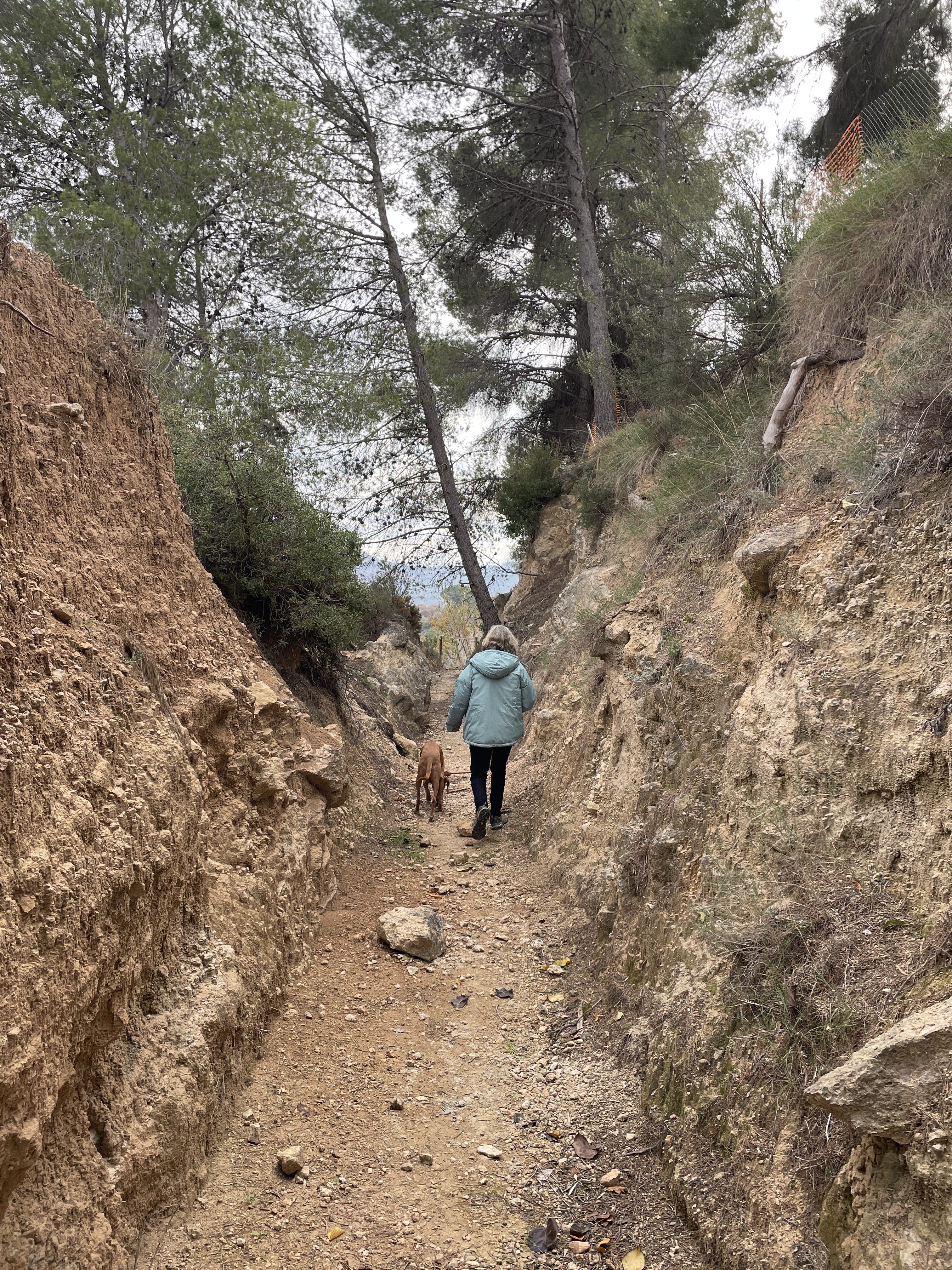 Poligono Cuatro, 803, 46622 Teresa de Cofrentes, Valencia, Spain / 30-11-2025 11:32 / 9.43 °C en bewolkt / 505 m