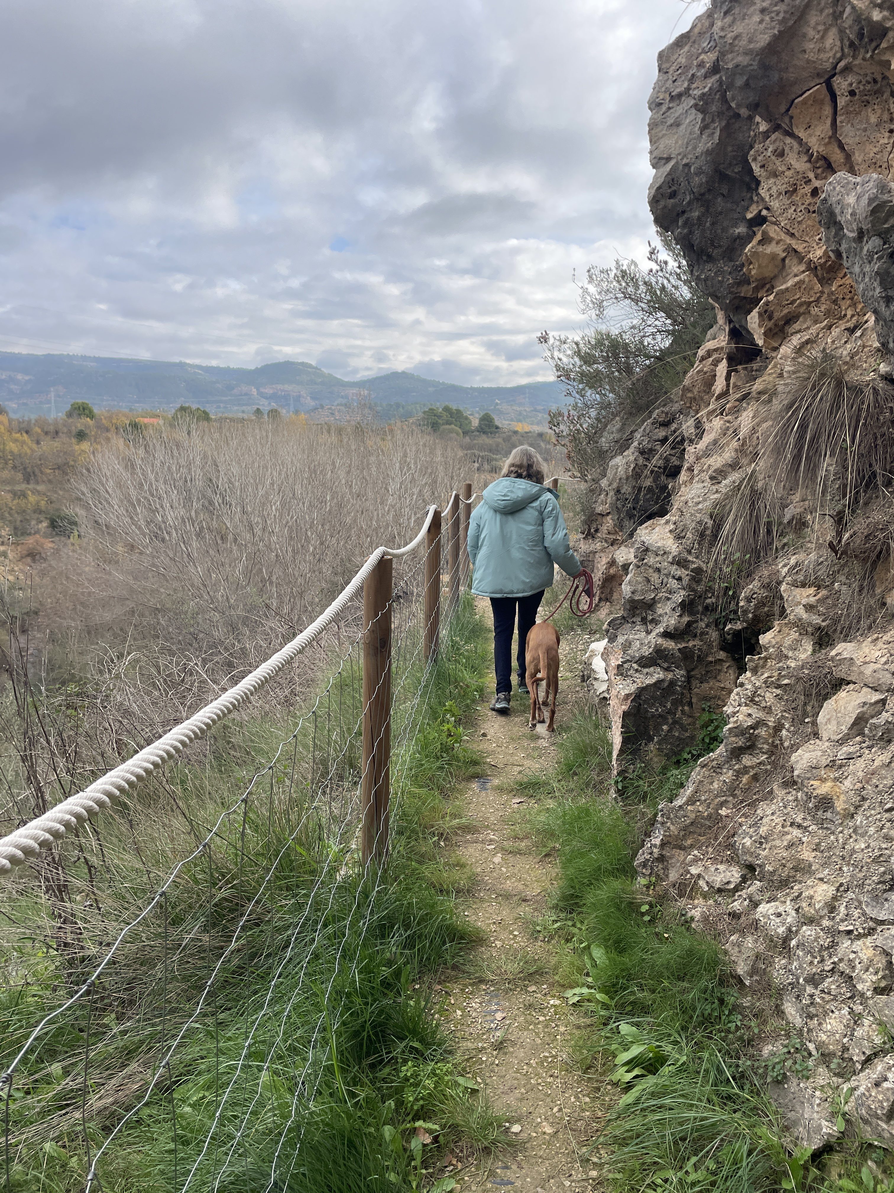 Poligono Cuatro, 4, 46622 Teresa de Cofrentes, Valencia, Spain / 30-11-2025 11:35 / 9.44 °C en bewolkt / 513 m