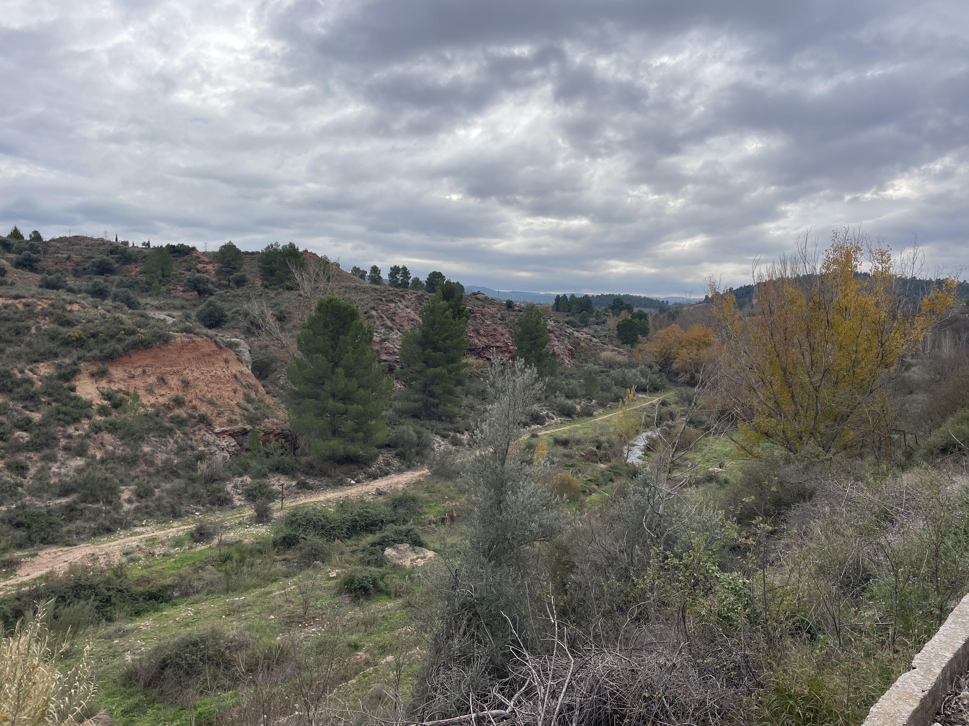 3XW3+MJ Teresa de Cofrentes, Spain / 30-11-2025 11:48 / 9.62 °C en bewolkt / 505 m