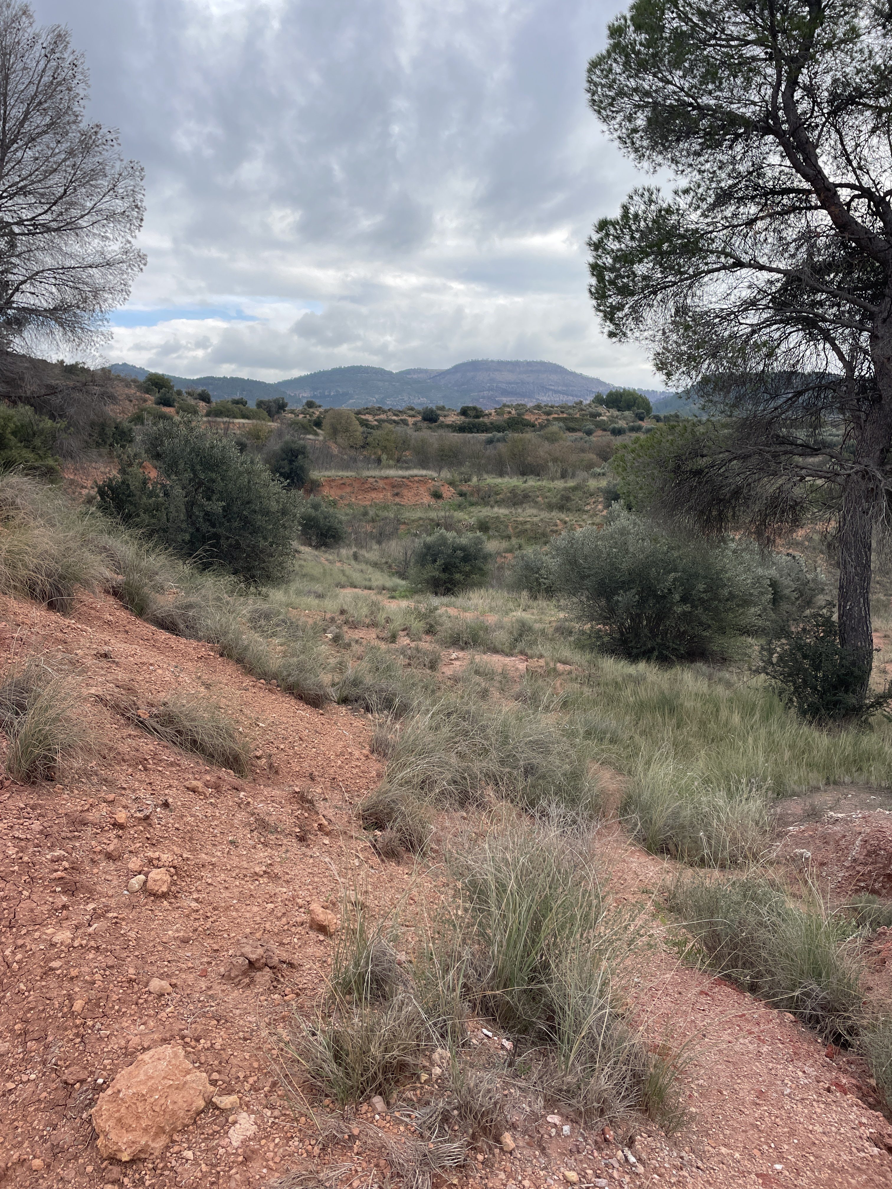 Poligono Cuatro, 83, 46622, Valencia, Spain / 30-11-2025 12:01 / 9.57 °C en bewolkt / 513 m