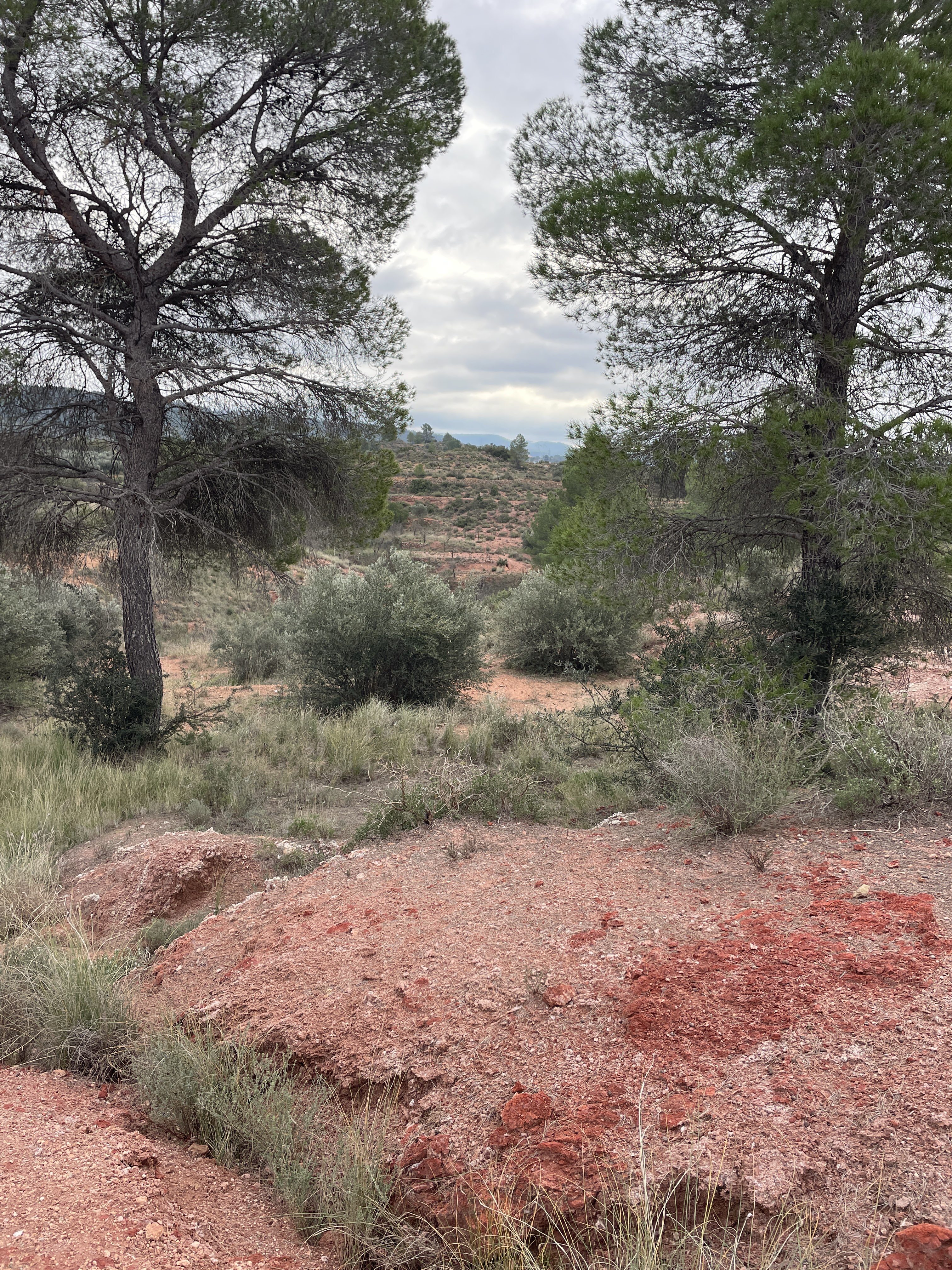 Poligono Cuatro, 83, 46622, Valencia, Spain / 30-11-2025 12:01 / 9.57 °C en bewolkt / 513 m