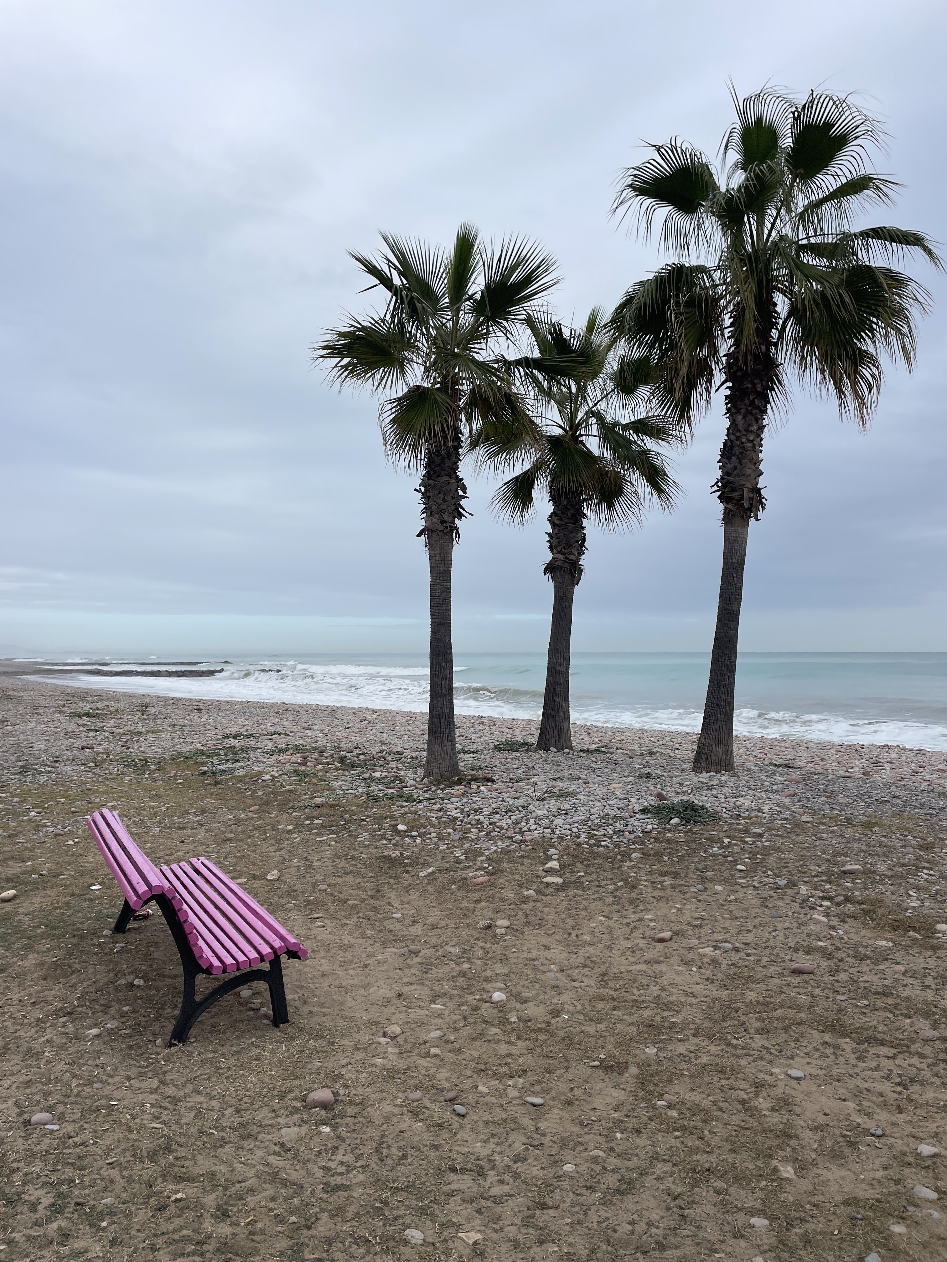 C. Santo Domingo, 2D, 12593 El Grao de Moncófar, Castellón, Spain / 01-12-2025 13:05 / 16.03 °C en bewolkt / 3 m