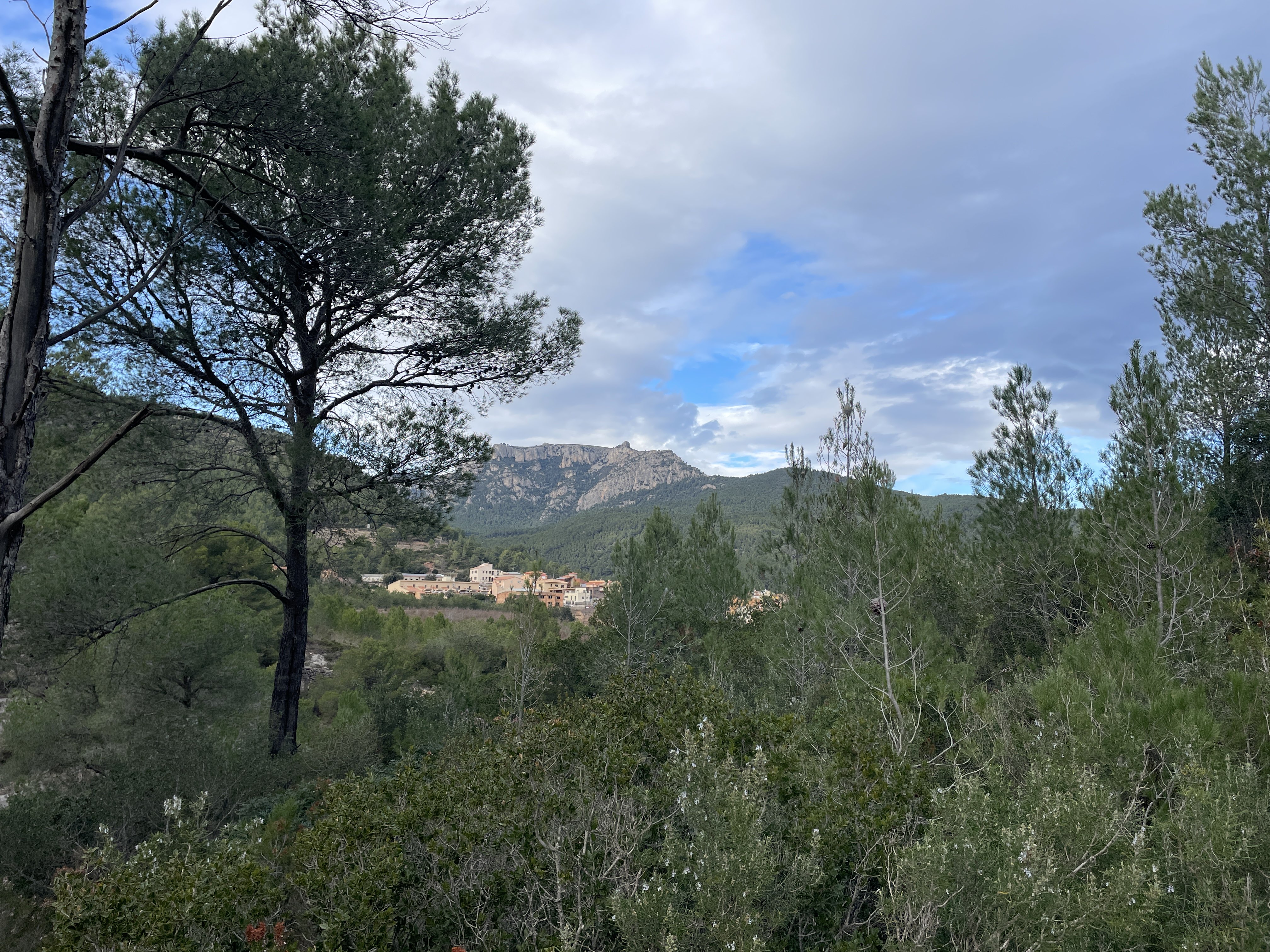 2VX9+5M Pratdip, Spain / 02-12-2025 14:41 / 12.59 °C en half bewolkt / 244 m