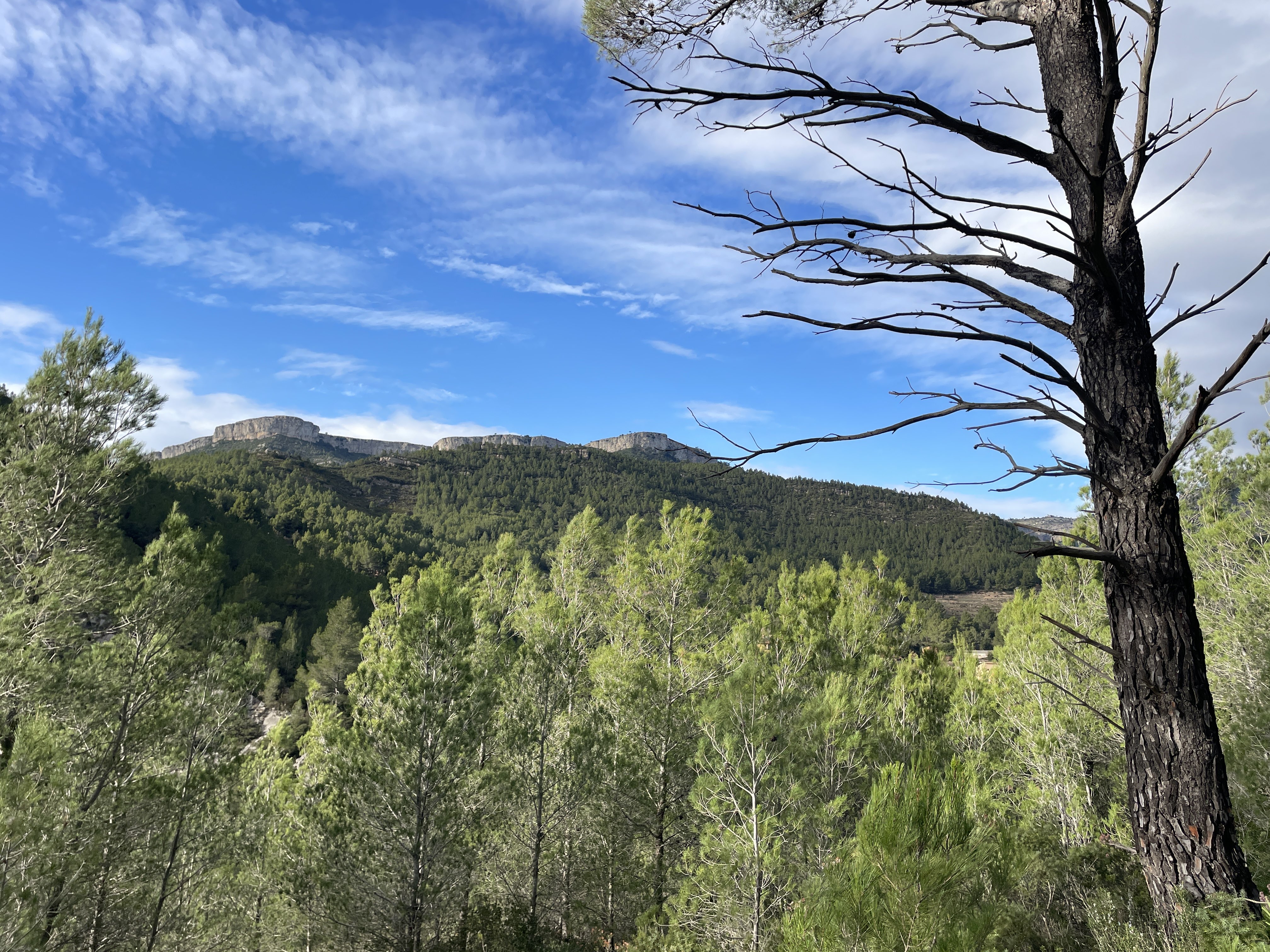 2VX9+5X Pratdip, Spain / 02-12-2025 14:43 / 12.59 °C en half bewolkt / 259 m