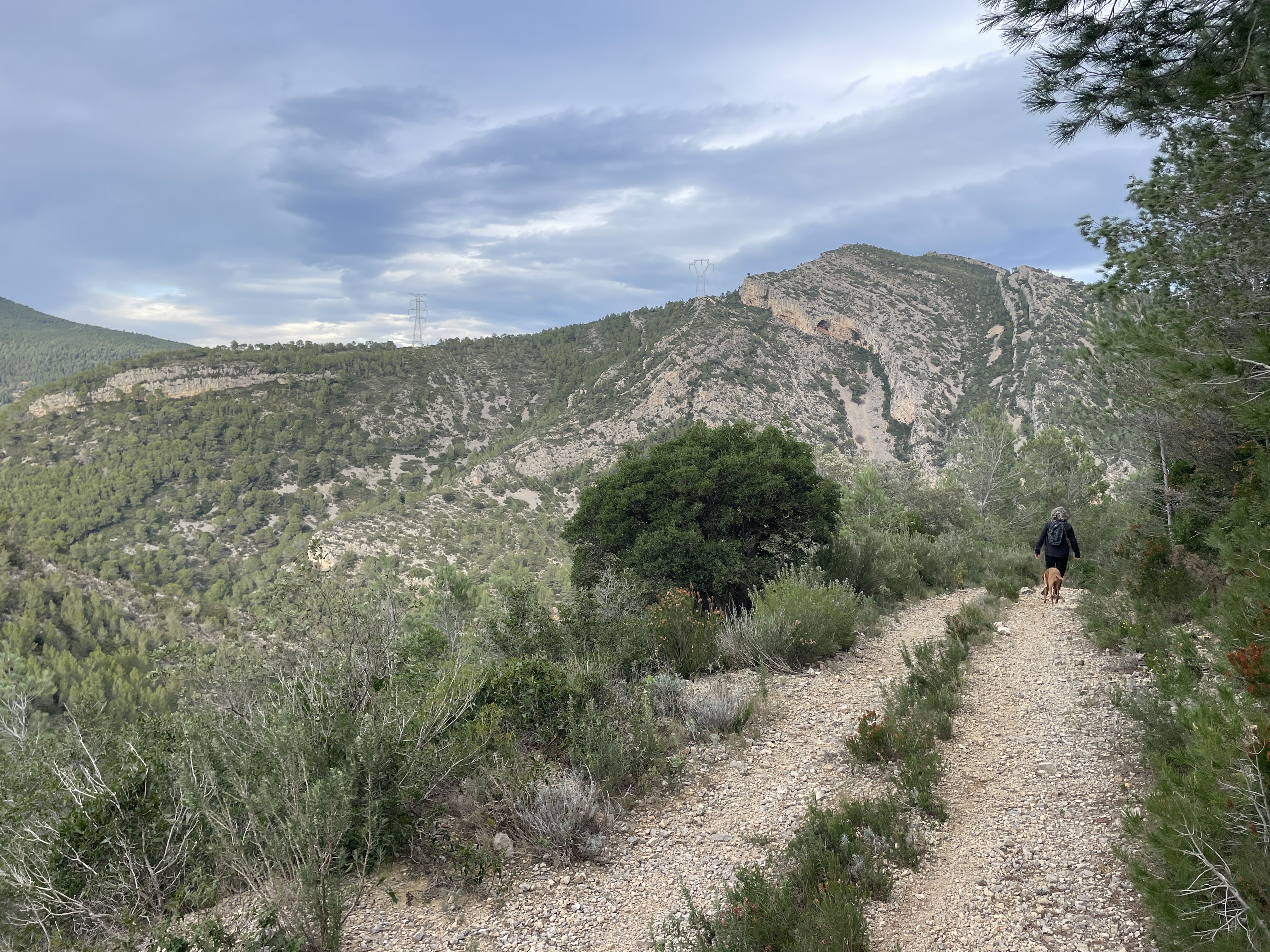 2VVF+JP Pratdip, Spain / 02-12-2025 15:14 / 12.01 °C en half bewolkt / 339 m