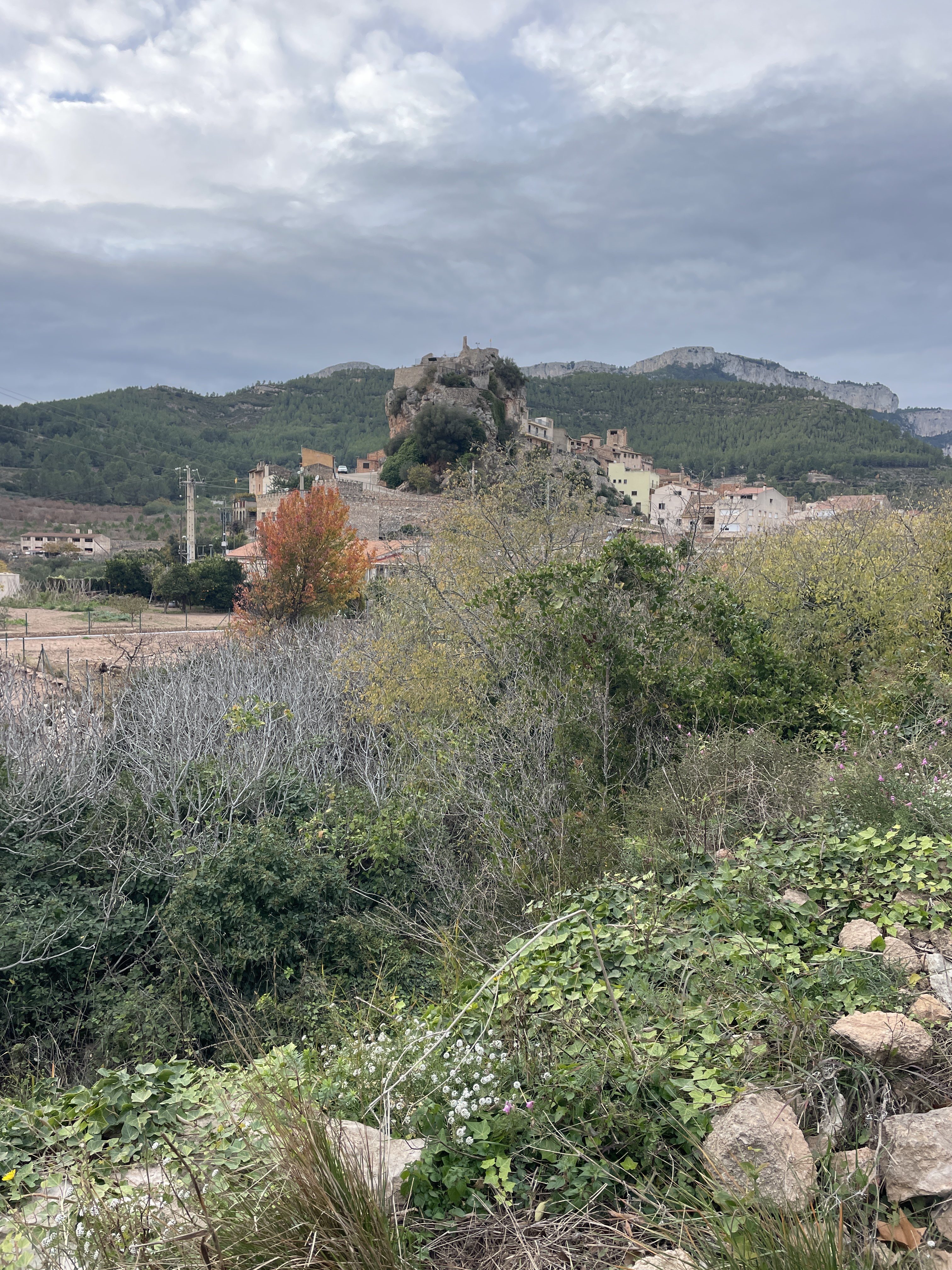 C. Moli, 1, 43320 Pratdip, Tarragona, Spain / 02-12-2025 16:04 / 11.64 °C en half bewolkt / 222 m