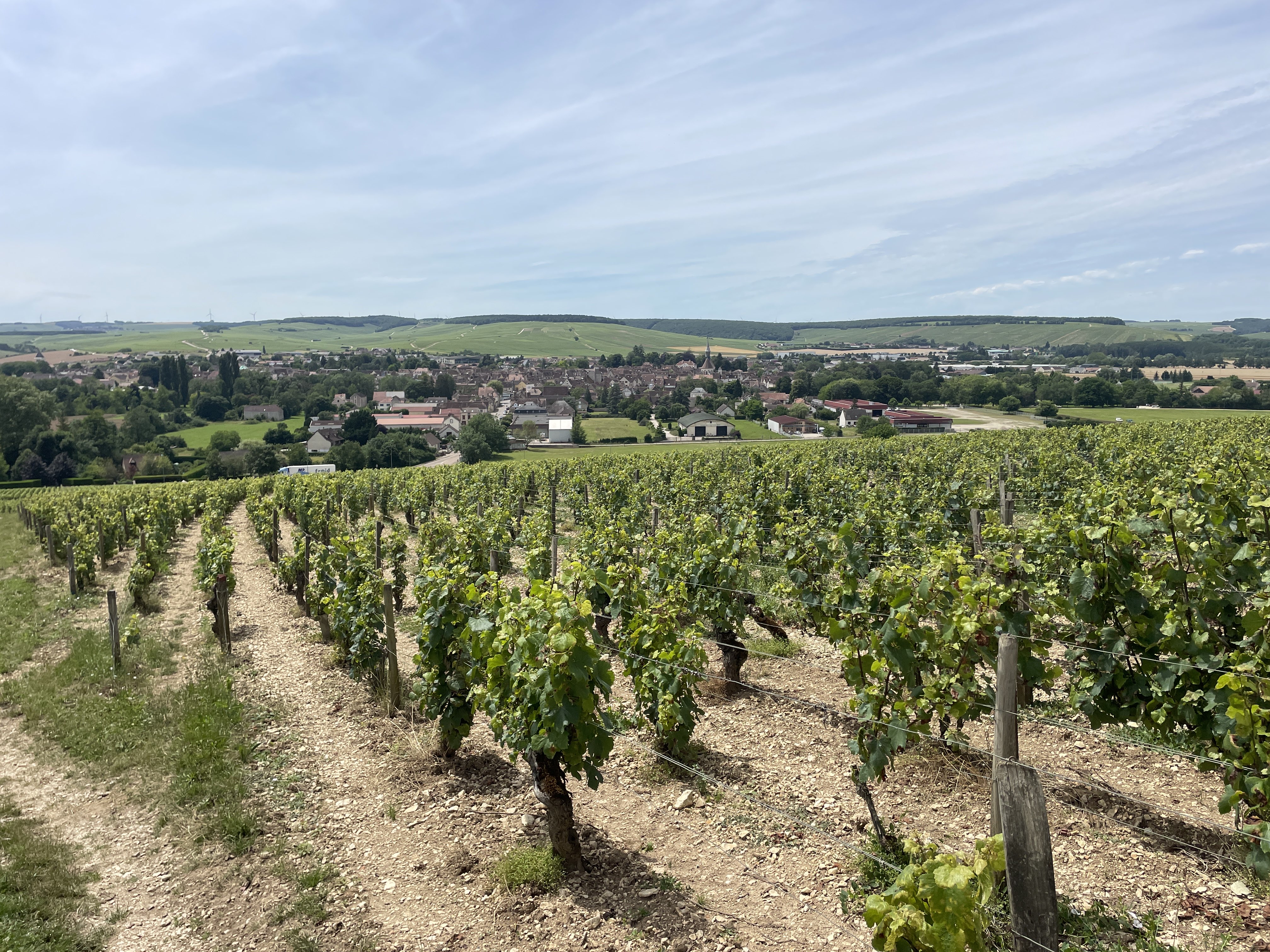 RR96+99 Chablis, France / 05-07-2024 14:16 / 22.15 °C en bewolkt