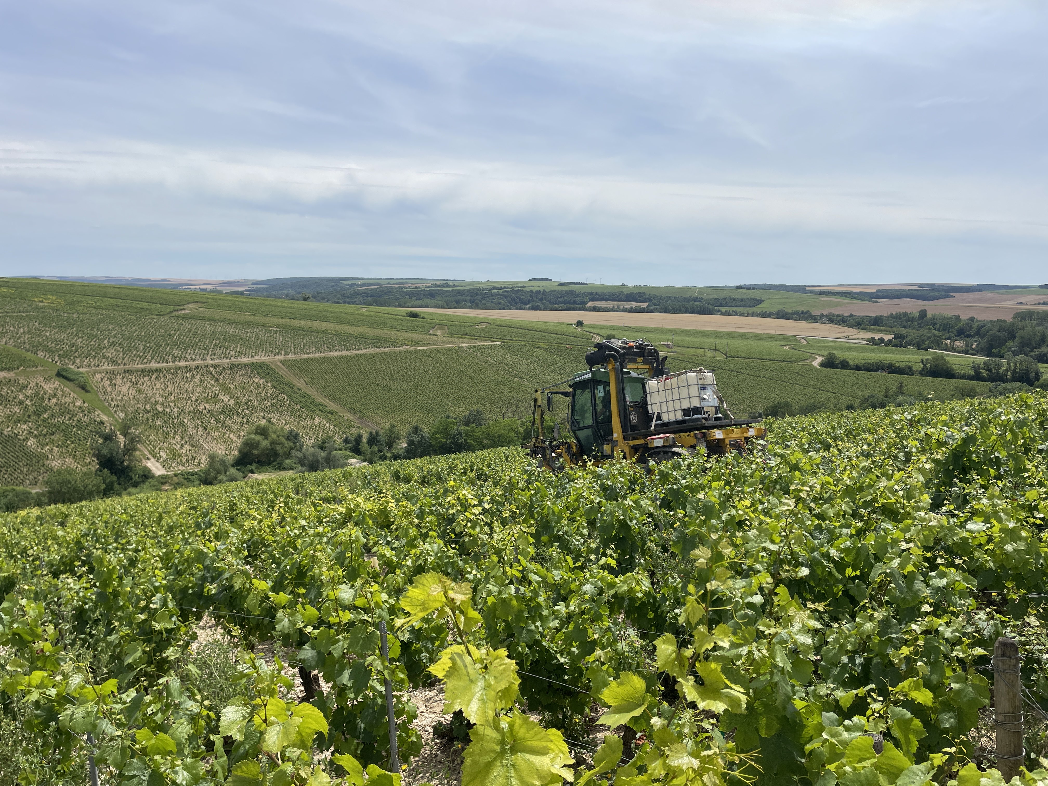 RRC8+26 Chablis, France / 05-07-2024 14:25 / 21.89 °C en bewolkt