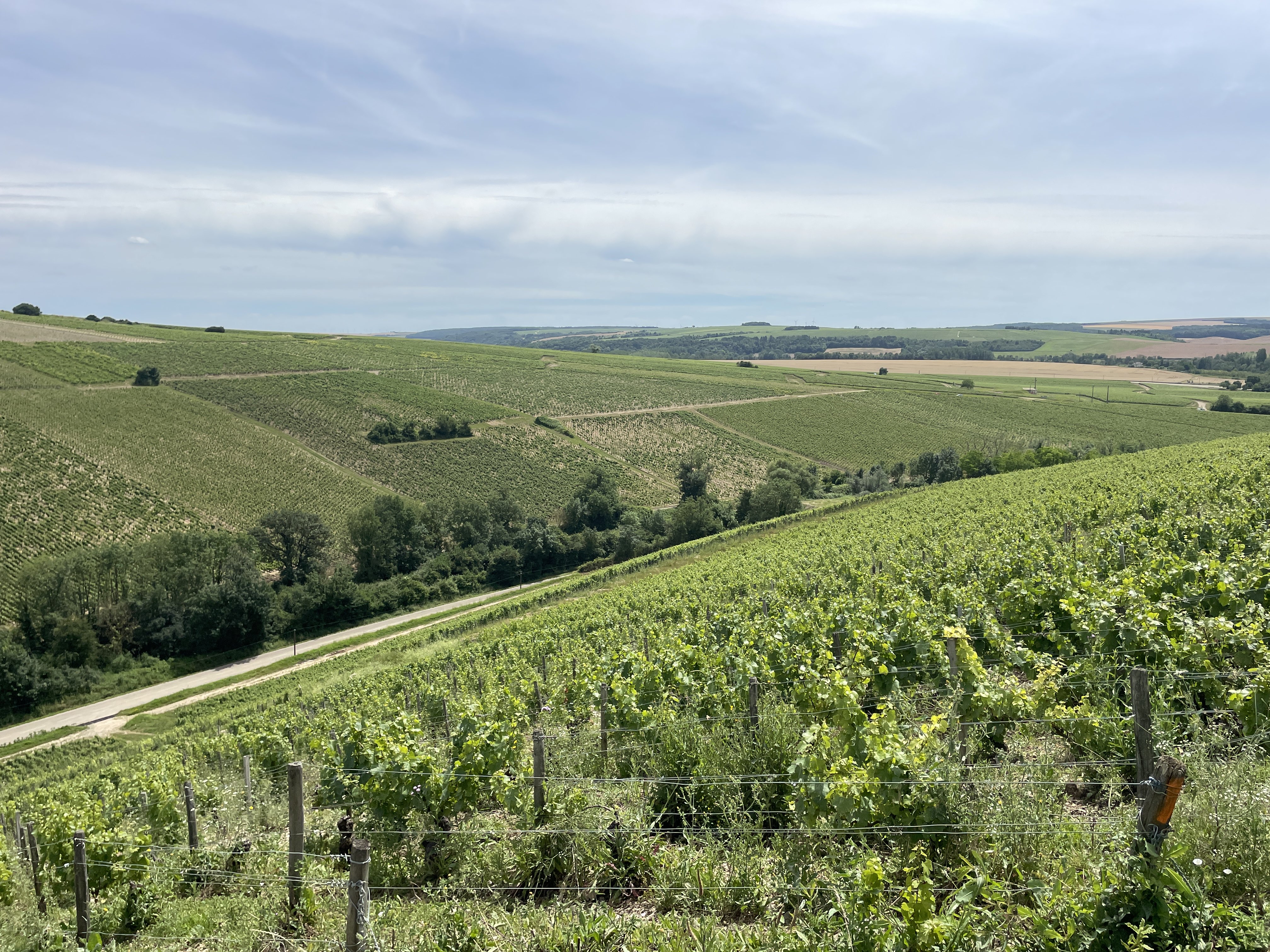 24 D150, 89800 Chablis, France / 05-07-2024 14:29 / 21.89 °C en bewolkt