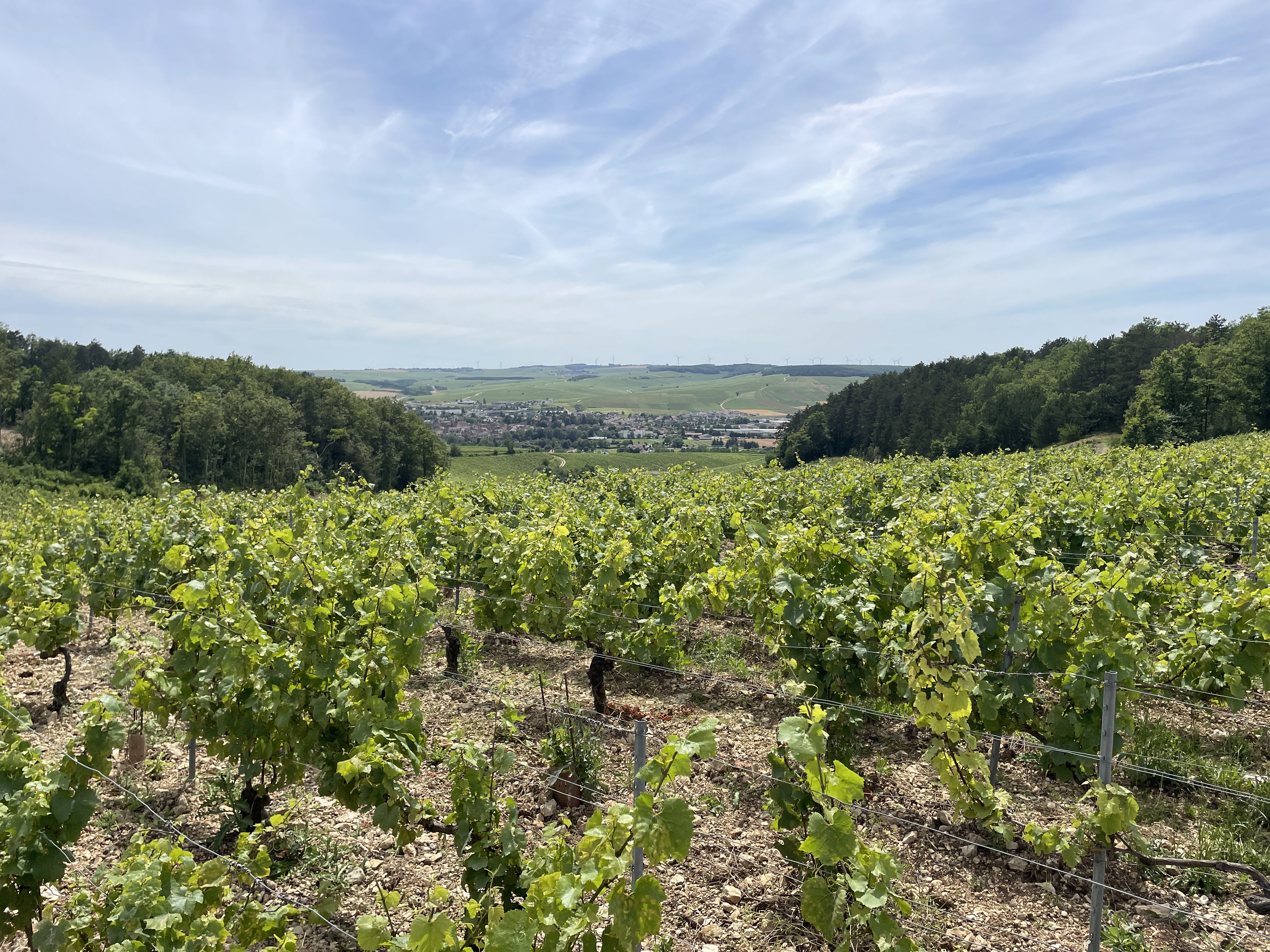 RRH5+MV Chablis, France / 05-07-2024 15:12 / 21.71 °C en bewolkt