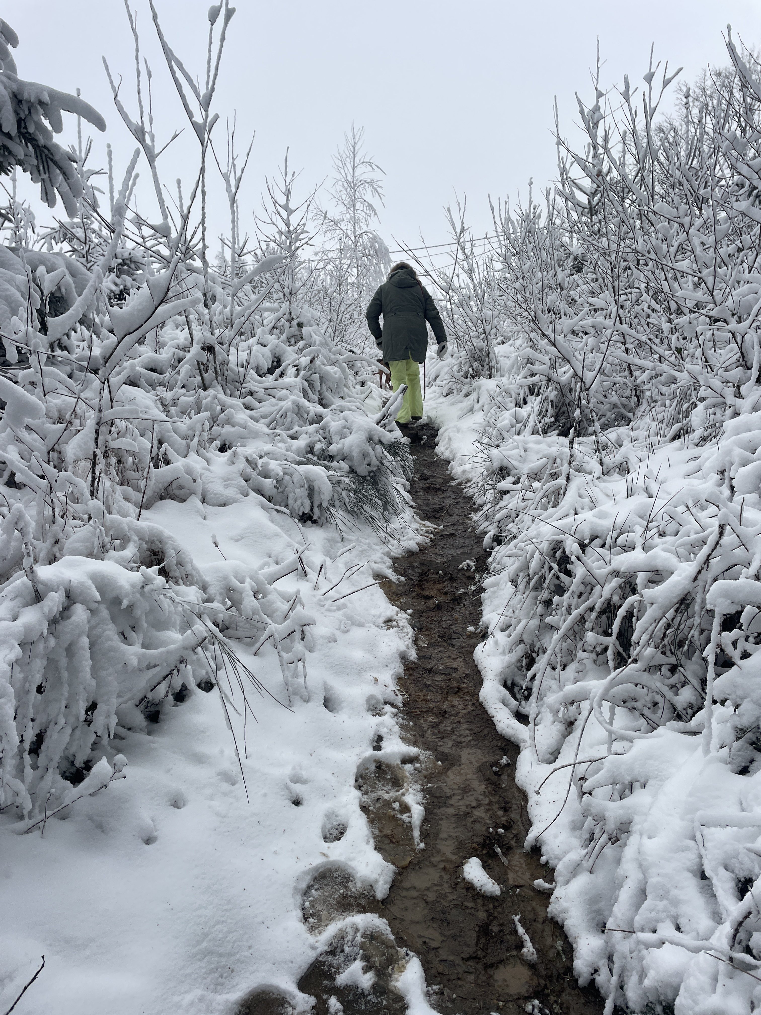 Stockeu 1, 4970 Stavelot, Belgium / 10-01-2026 15:18 / -4.44 °C en bewolkt / 394 m