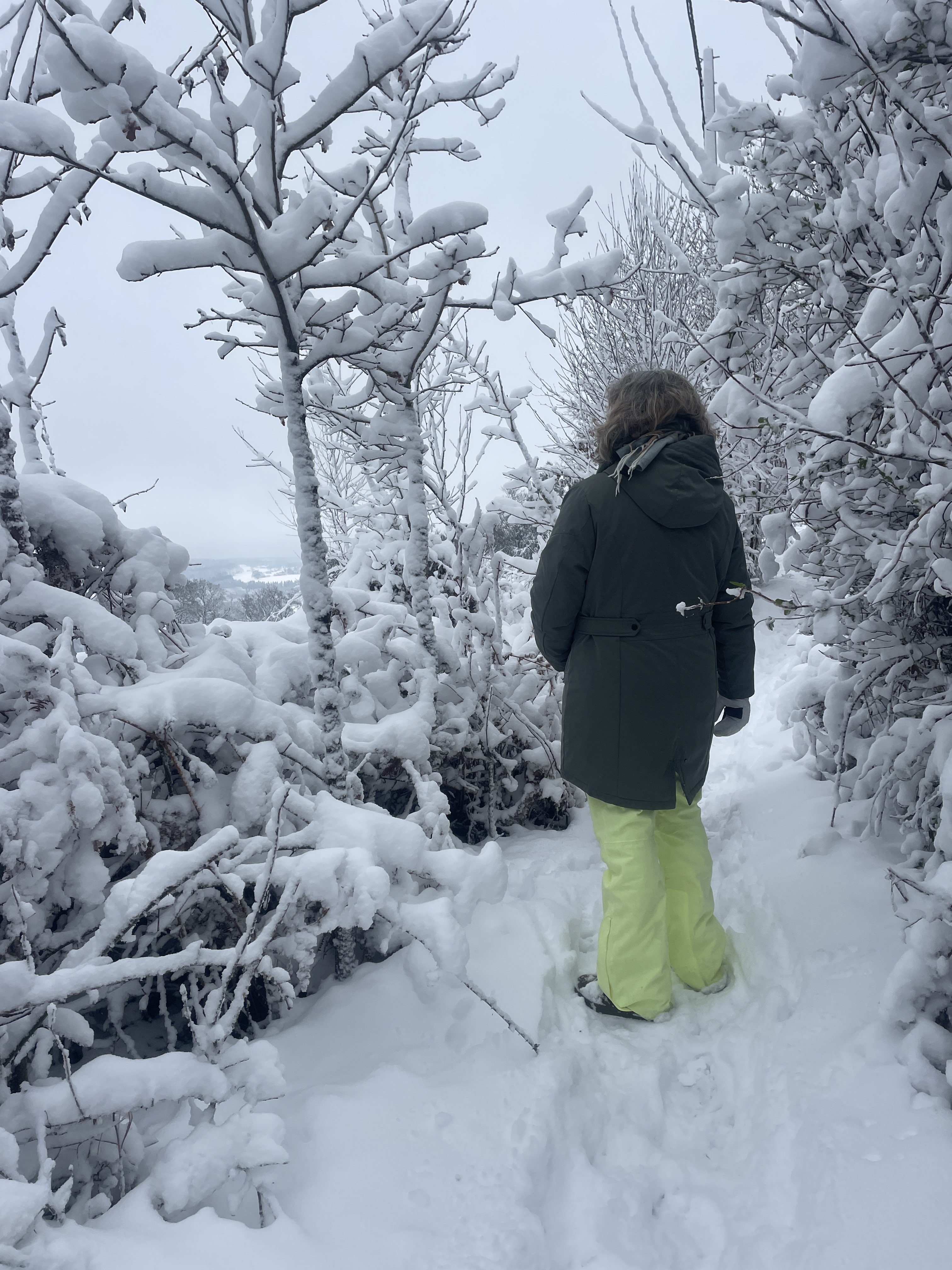 Rte de Somagne 65, 4970 Stavelot, Belgium / 10-01-2026 15:21 / -4.44 °C en bewolkt / 400 m