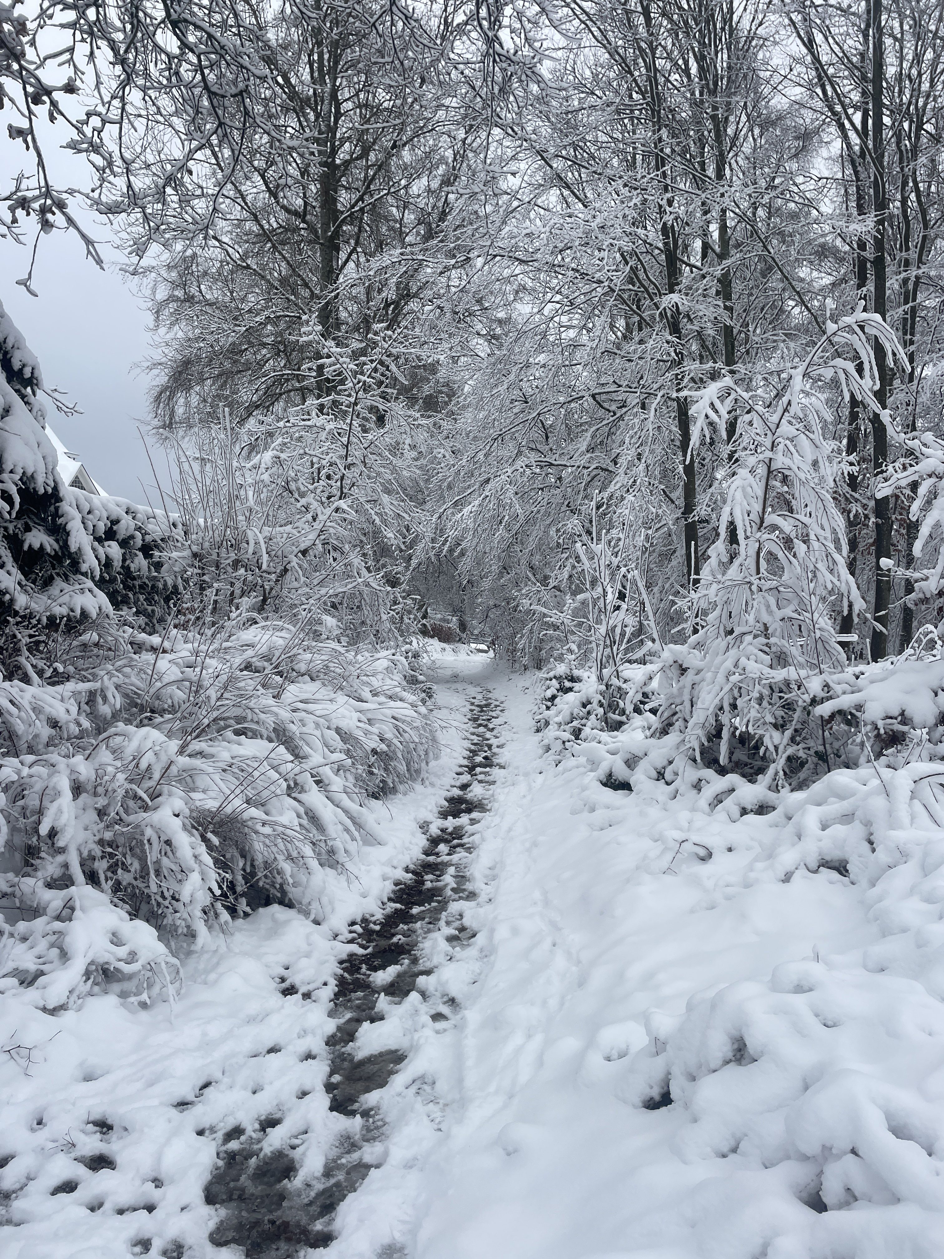Rte de Somagne 3B, 4970 Stavelot, Belgium / 10-01-2026 15:28 / -4.44 °C en bewolkt / 404 m